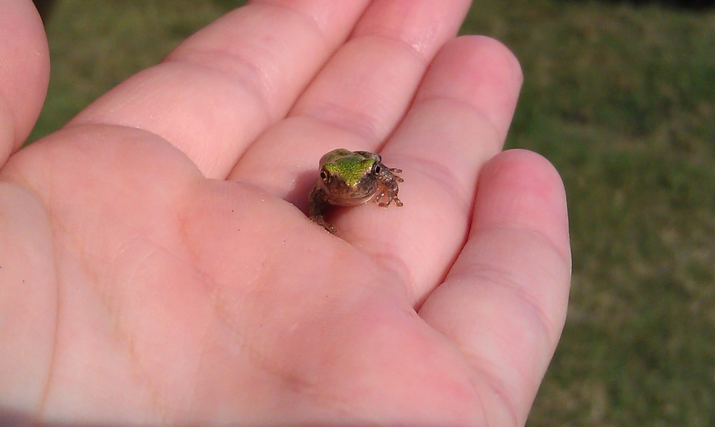 Prompts Inspired by Todd Dillard