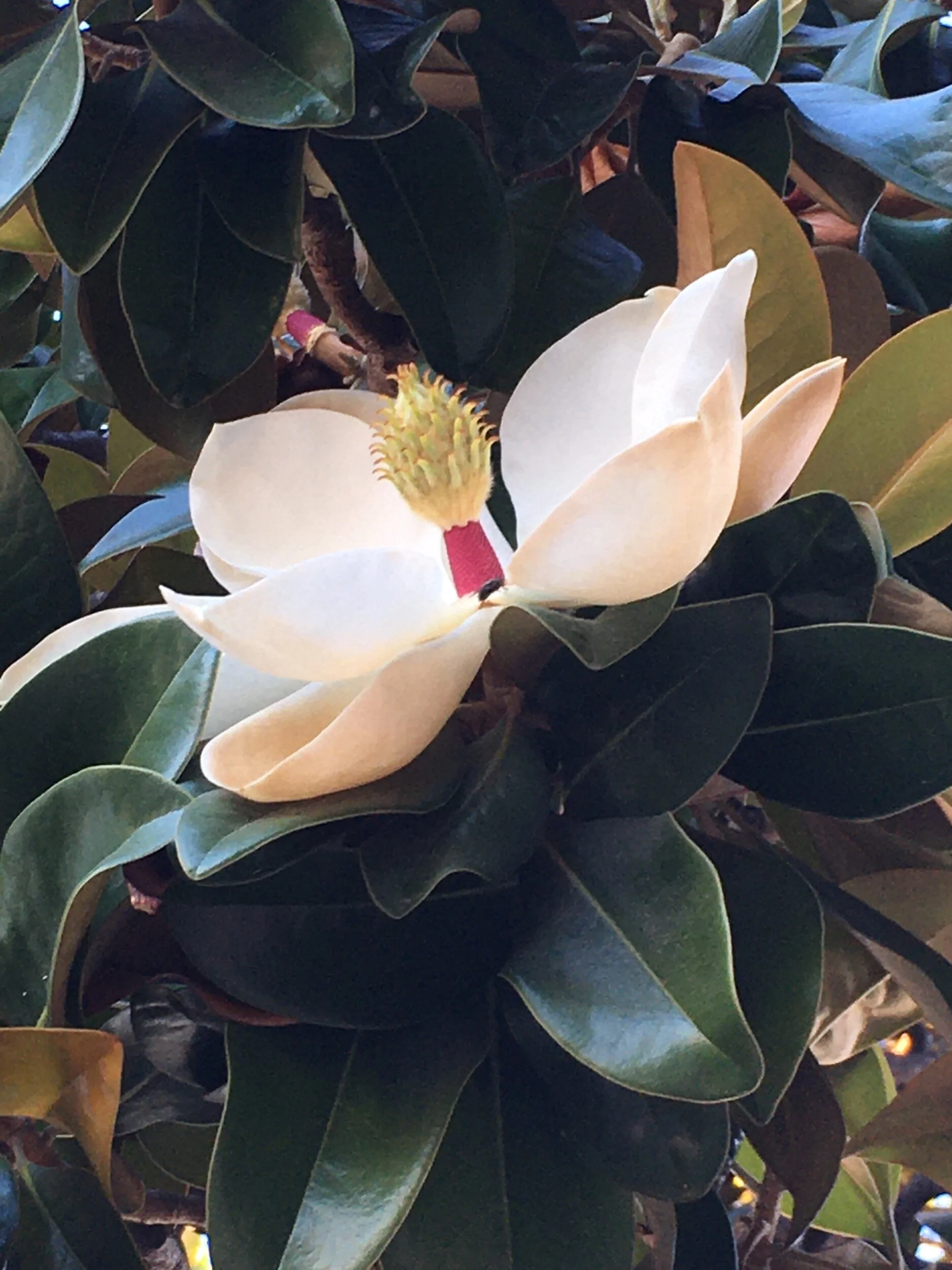 Beginnings and Endings—Editing and Writing Prompts Inspired by Ruth Awad