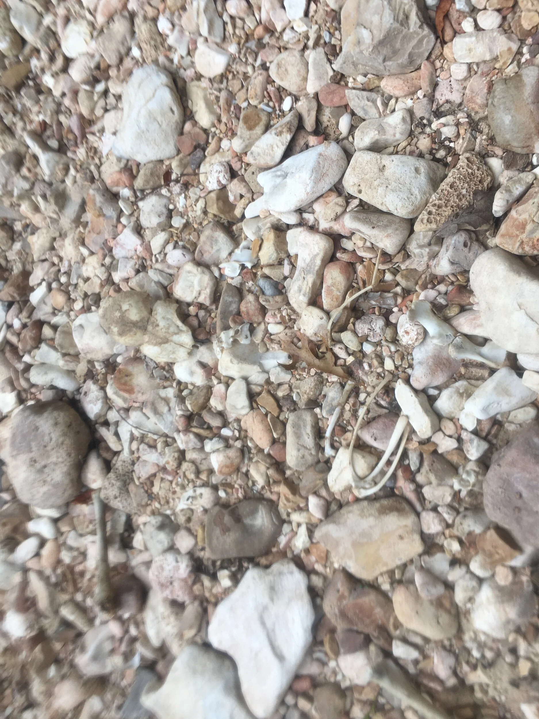 Labor Day—Cynical Prompts Inspired by Marge Piercy and Gary Snyder