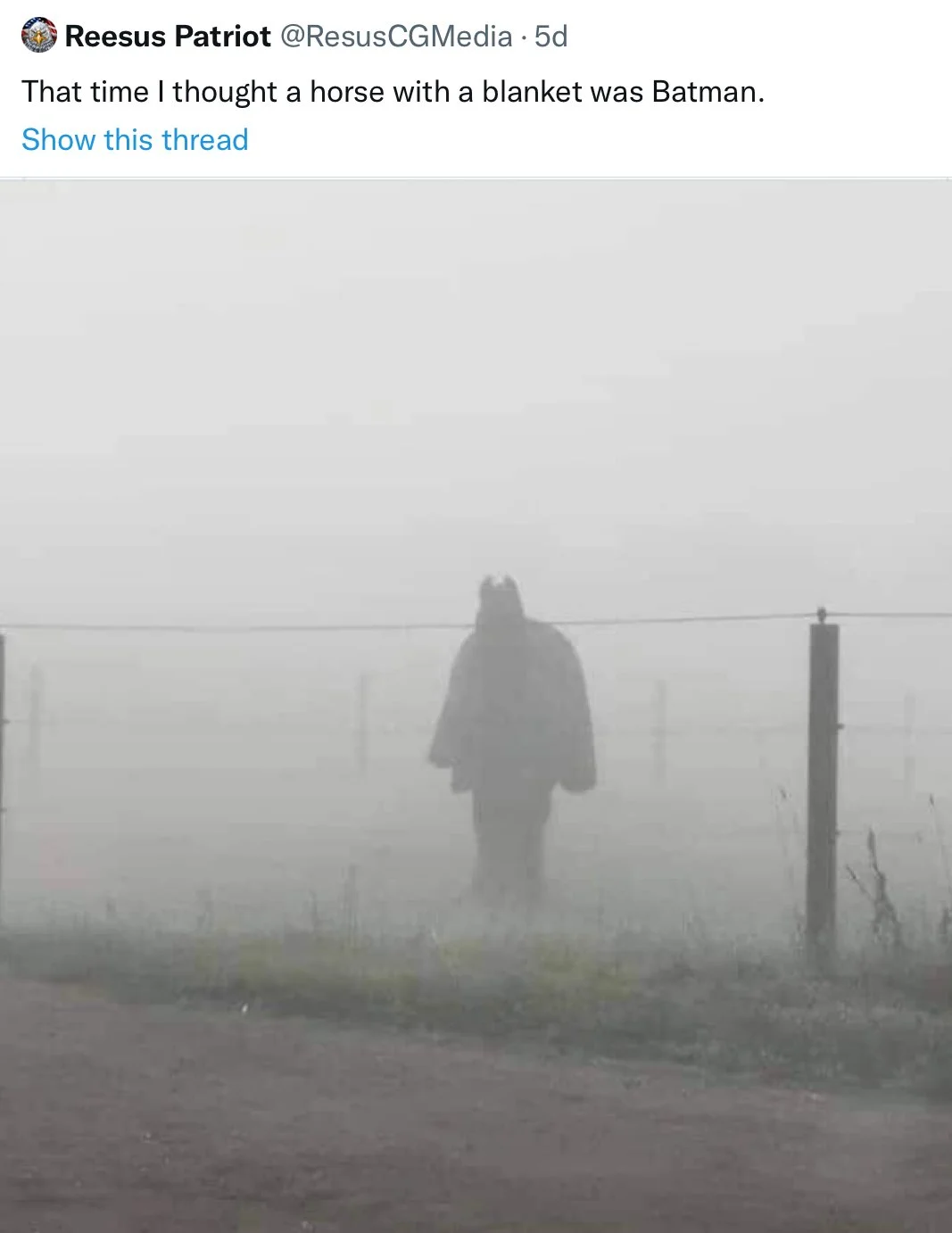 More Prompts from Twitter—Thank you, Eduardo C. Corral!