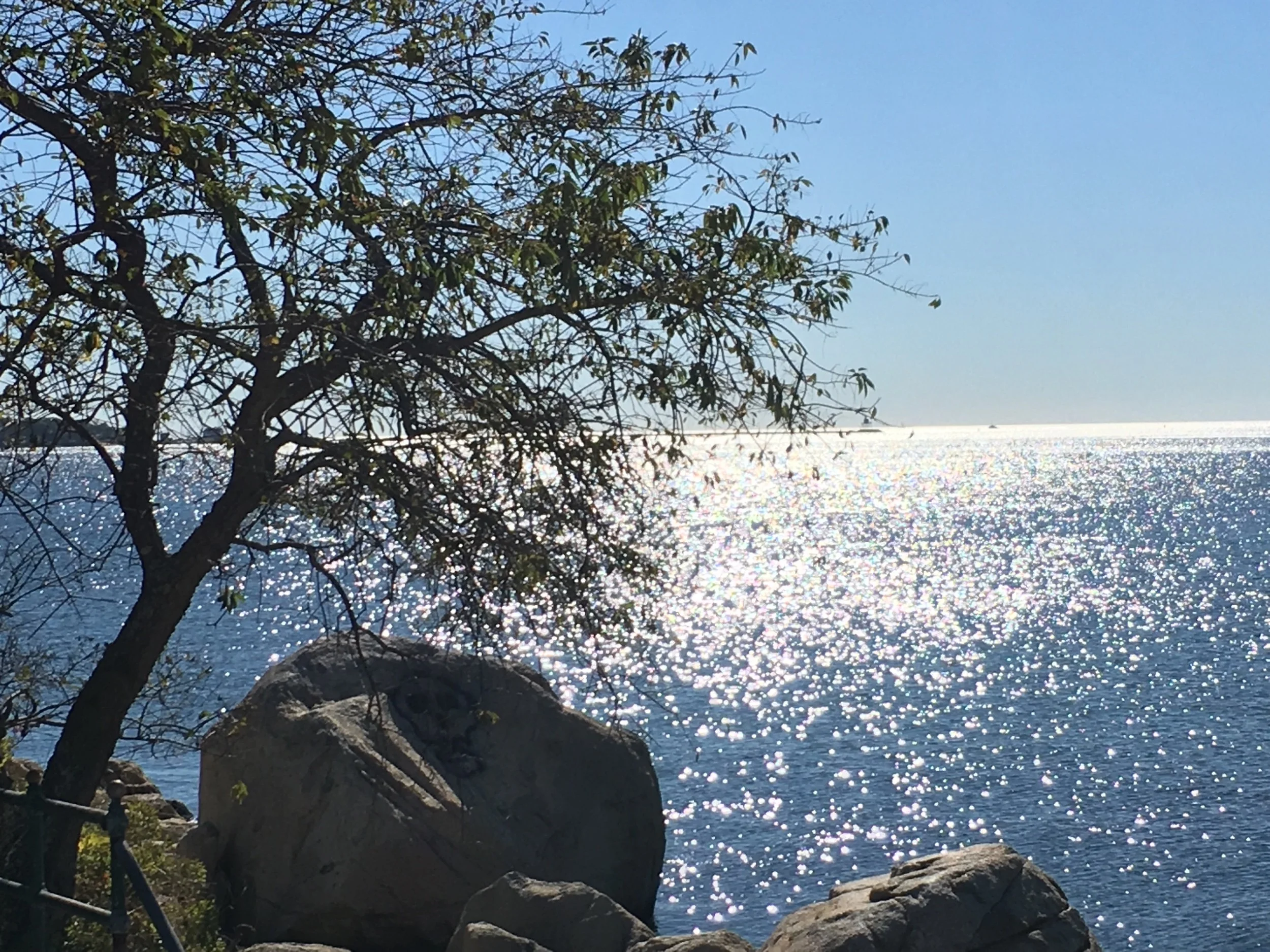 “Hey, everybody, let’s have another year of this” — Prompts Inspired by Amber Sparks