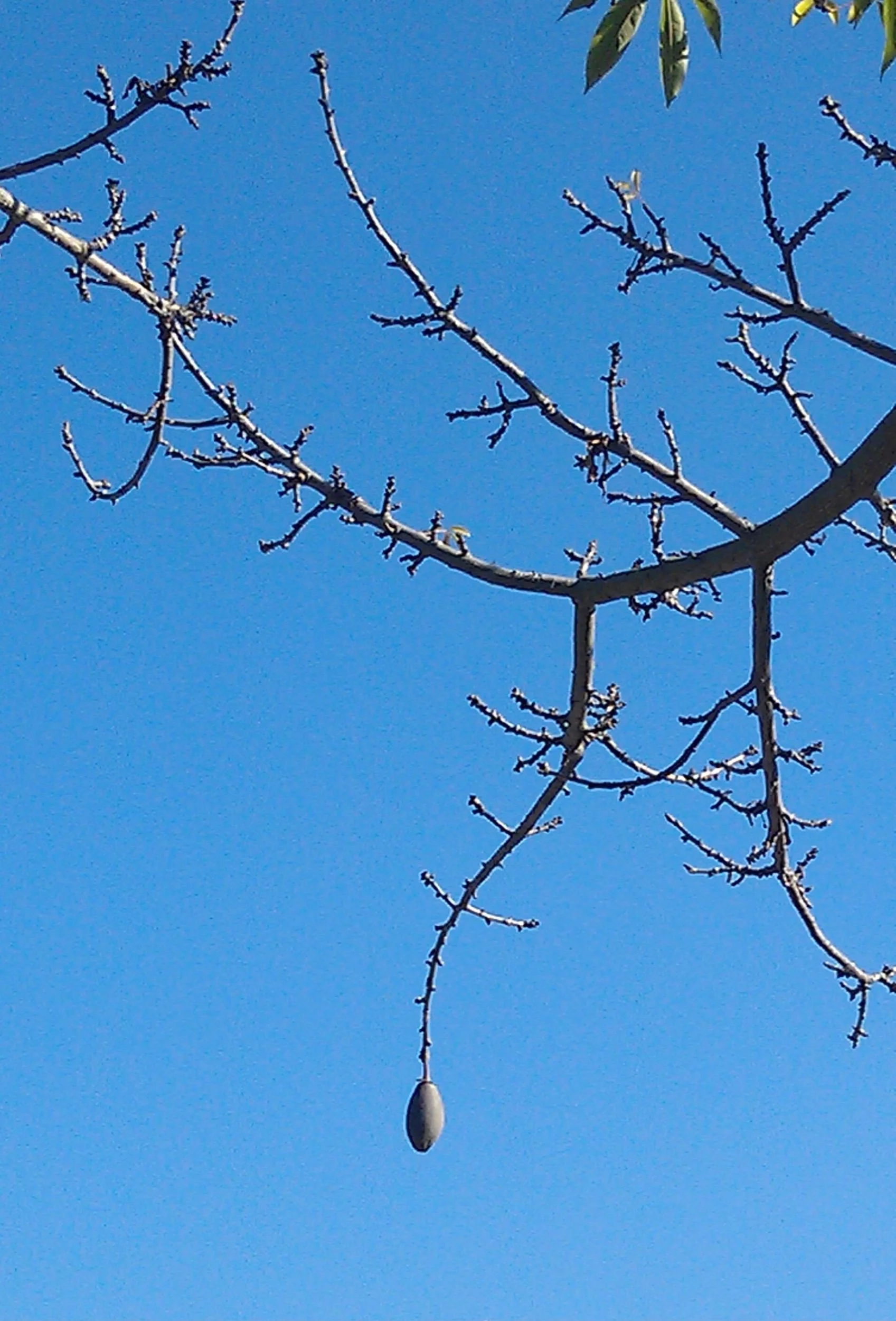 A Belated Happy New Year’s with Prompts Inspired by Twitter and Kate Baer