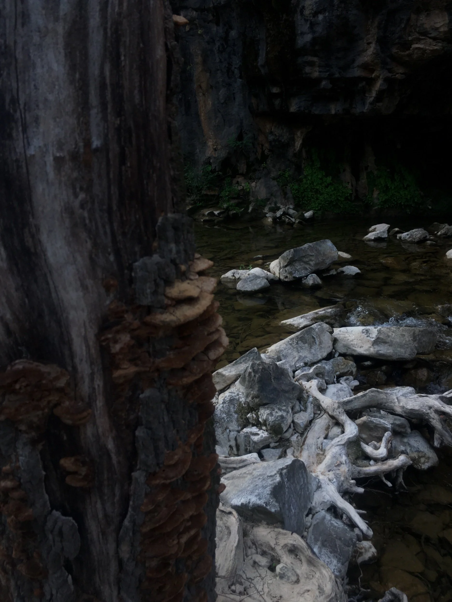 Hybrid Times—Prompts Inspired by Boris Khersonsky