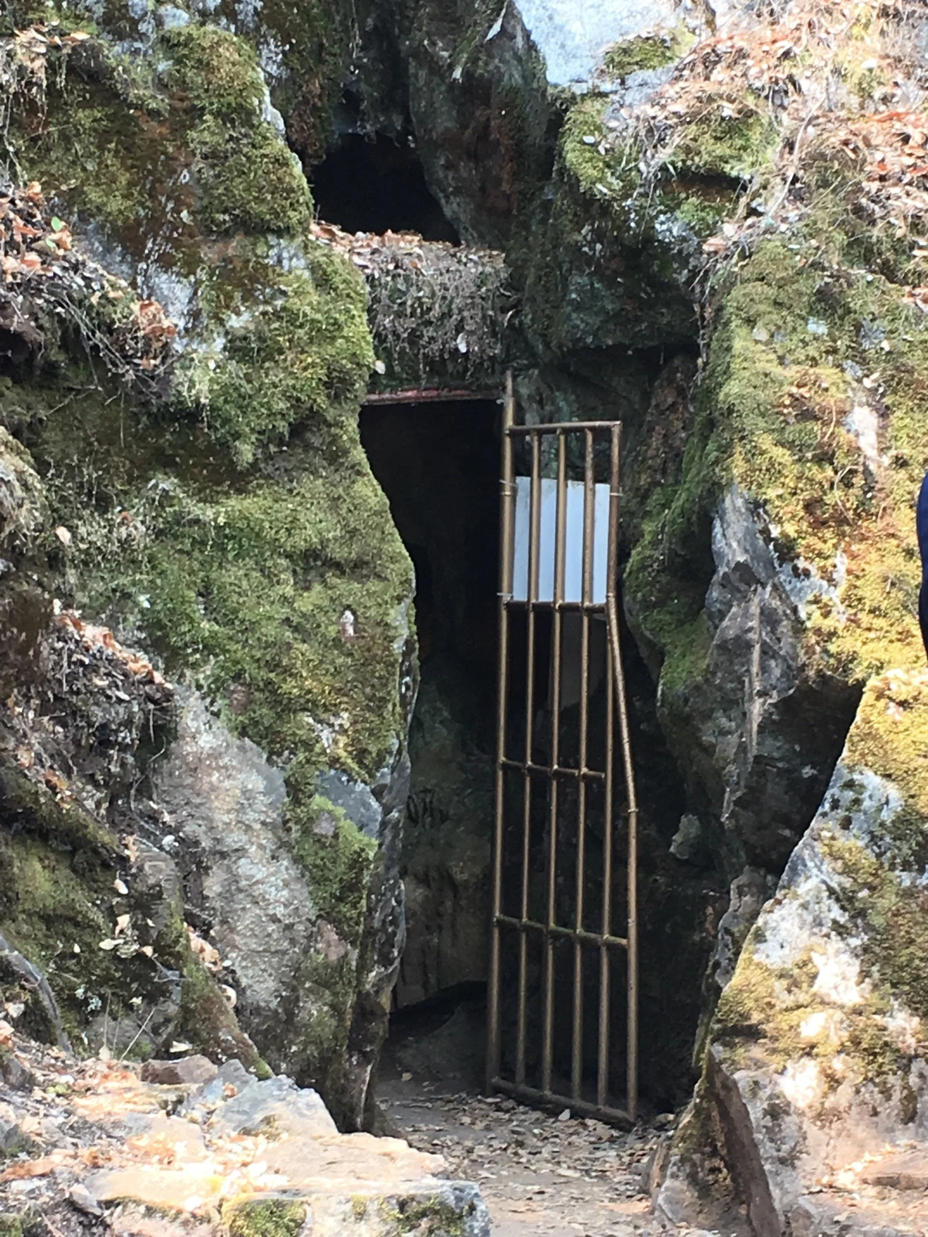 “The frame is a door”—Prompts Inspired by Paul Tran