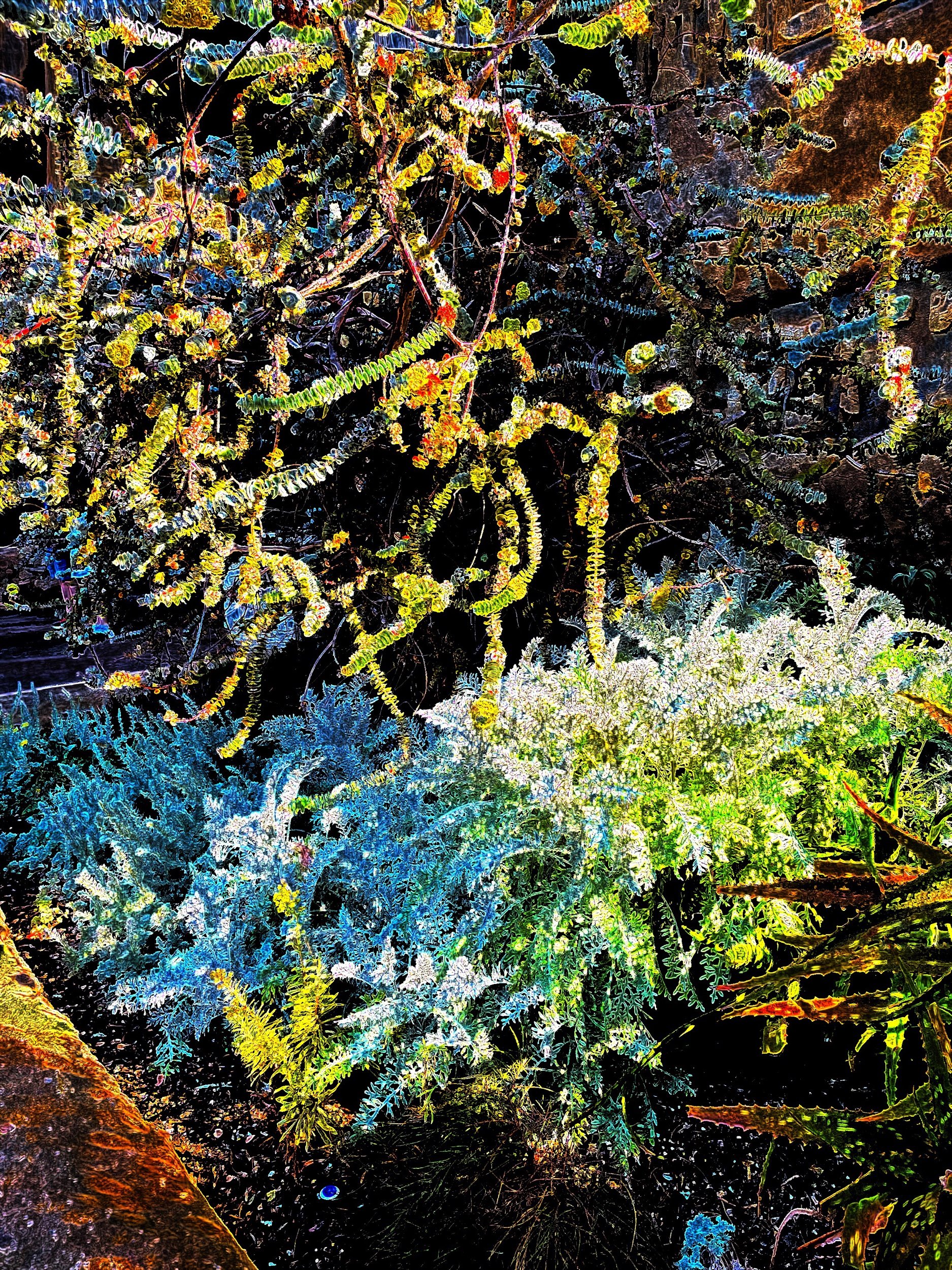 It’s World Poetry Day—So Many Great Poems!