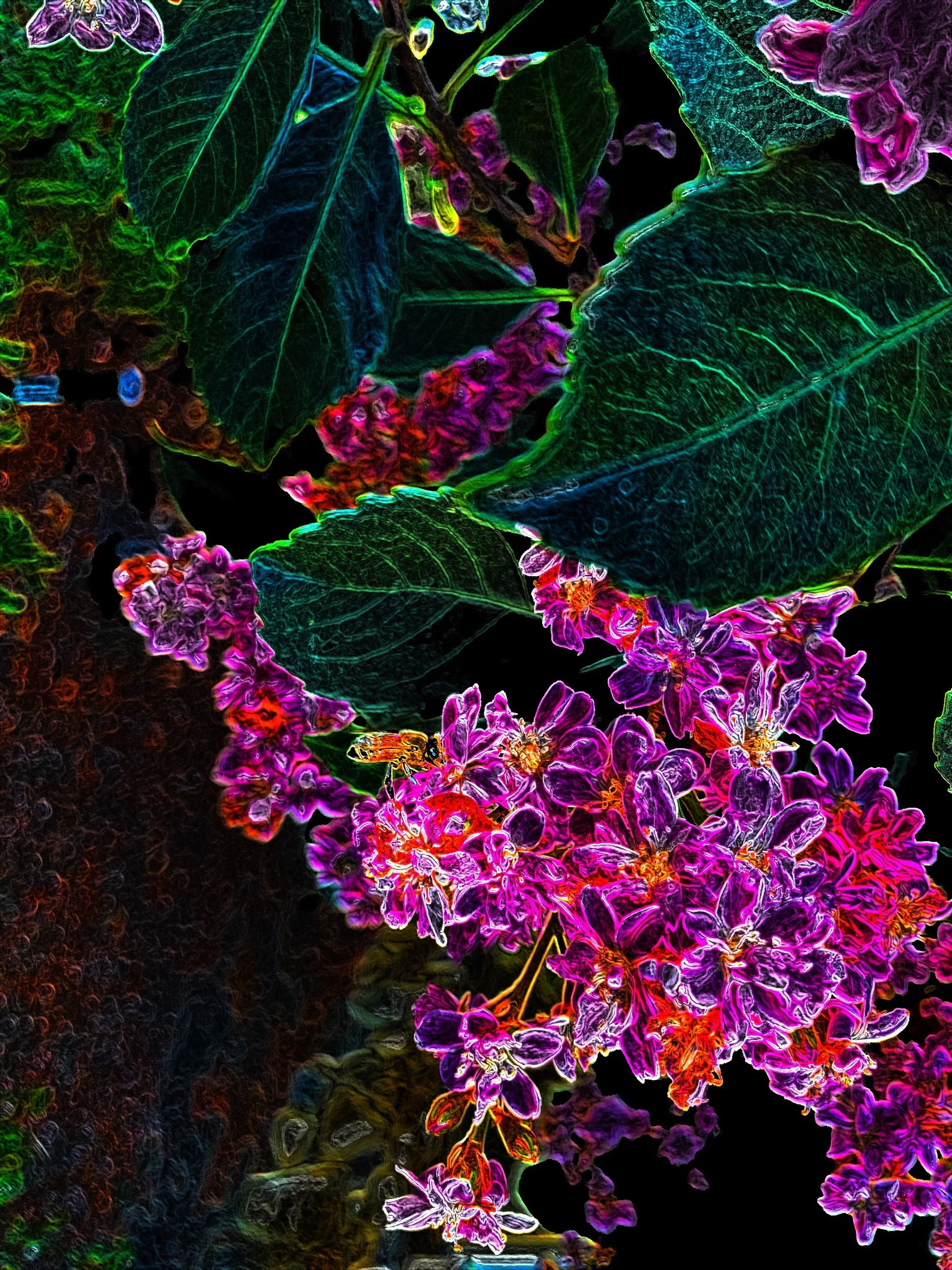 Come this Sunday to Gatsby Books!