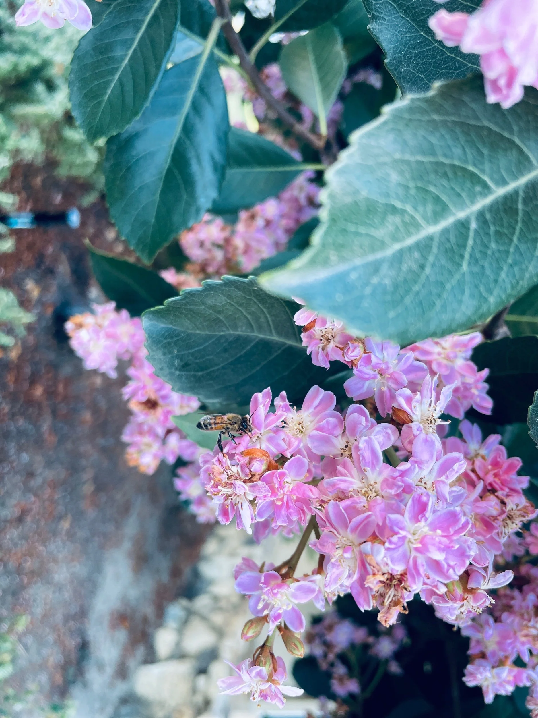 Tomorrow Starts NaPoWriMo!