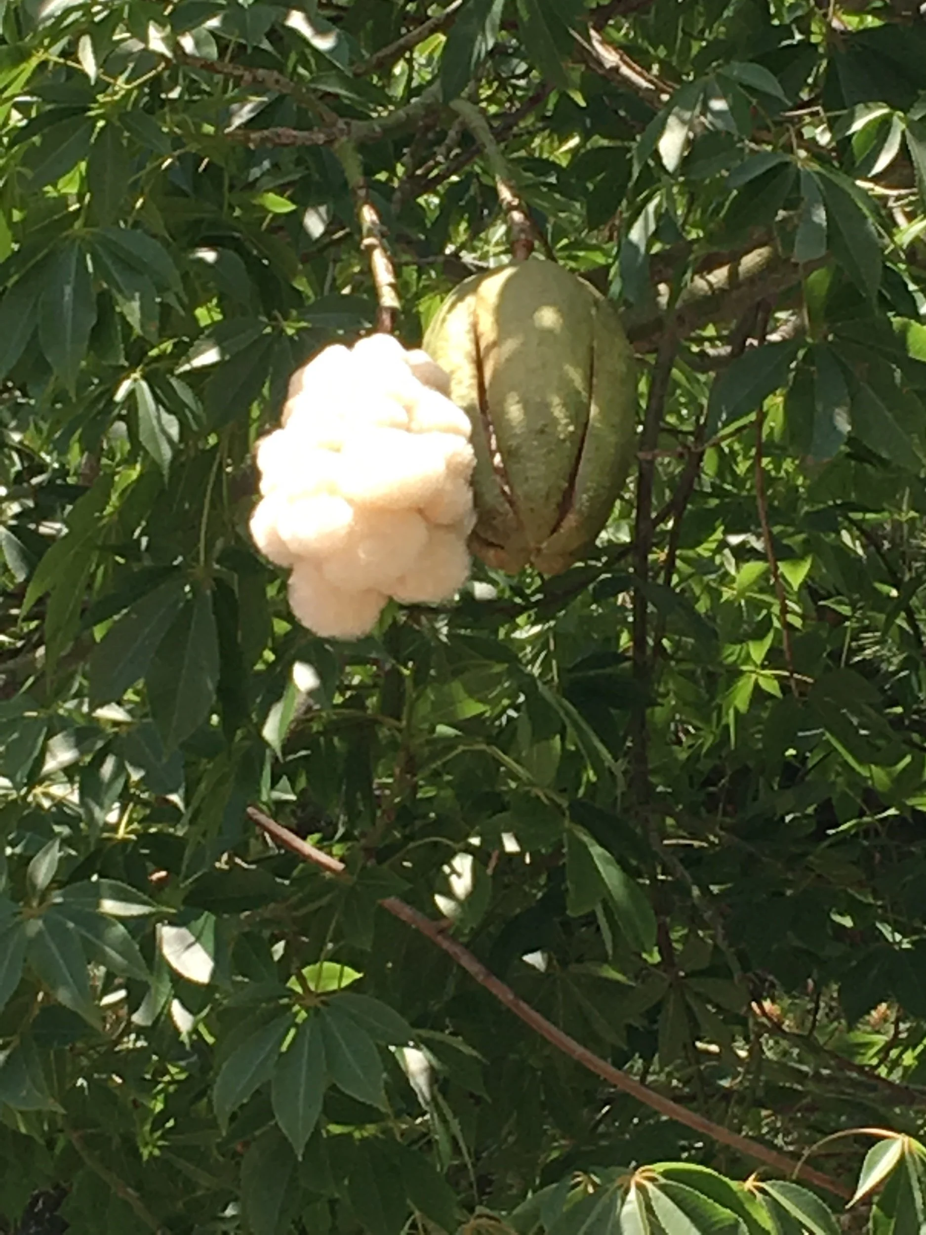 Belated Easter Prompt