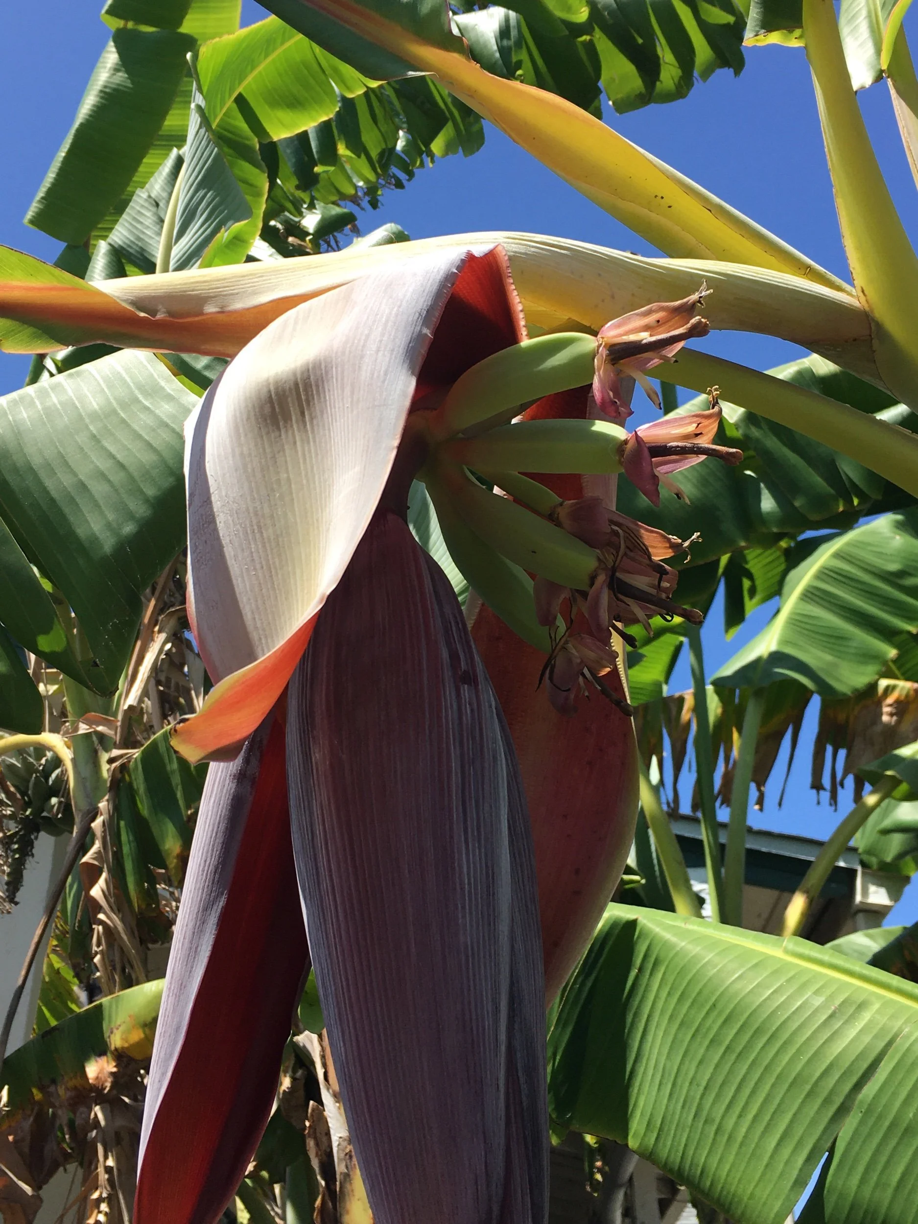 May You Edit All Month Long—Editing Prompts