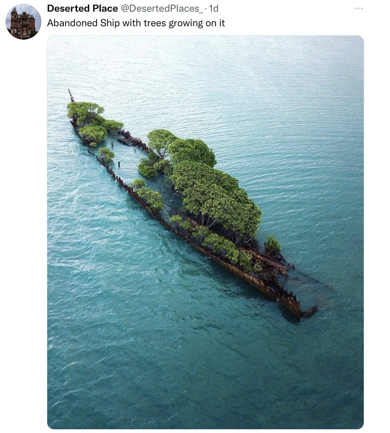 Revising and Recreating—Prompts