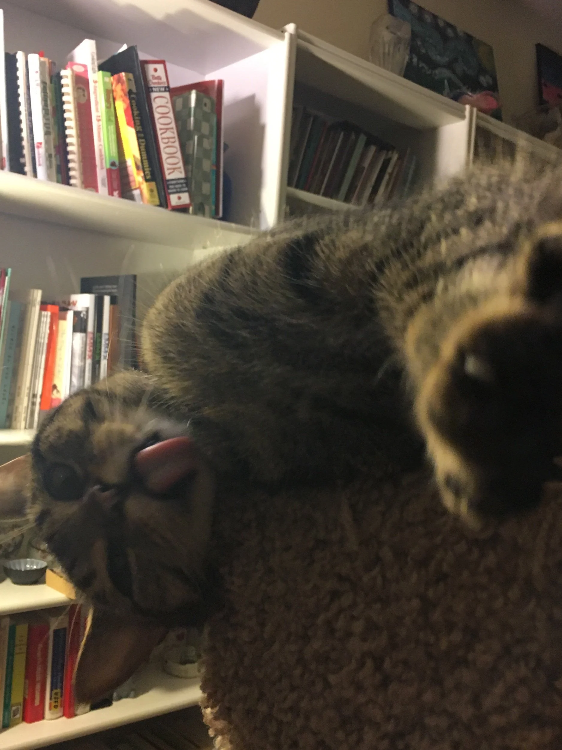 Sealey Challenge Coming Soon!