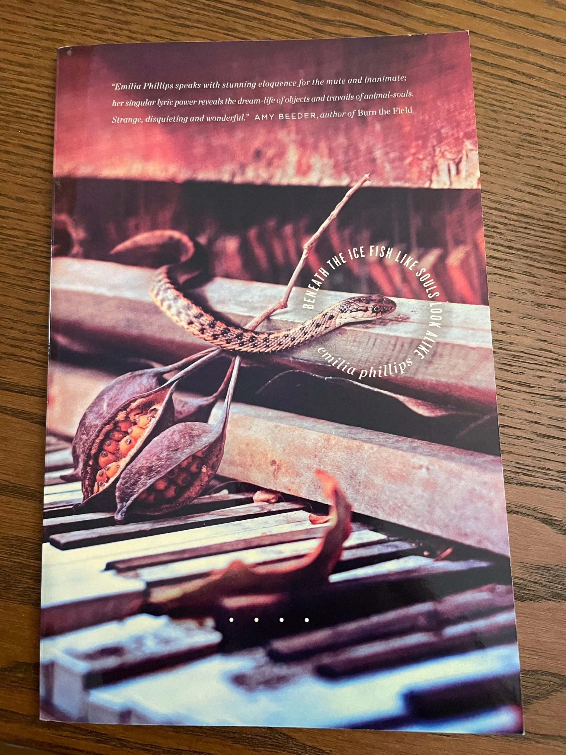 Sealey Challenge Update—with Prompts