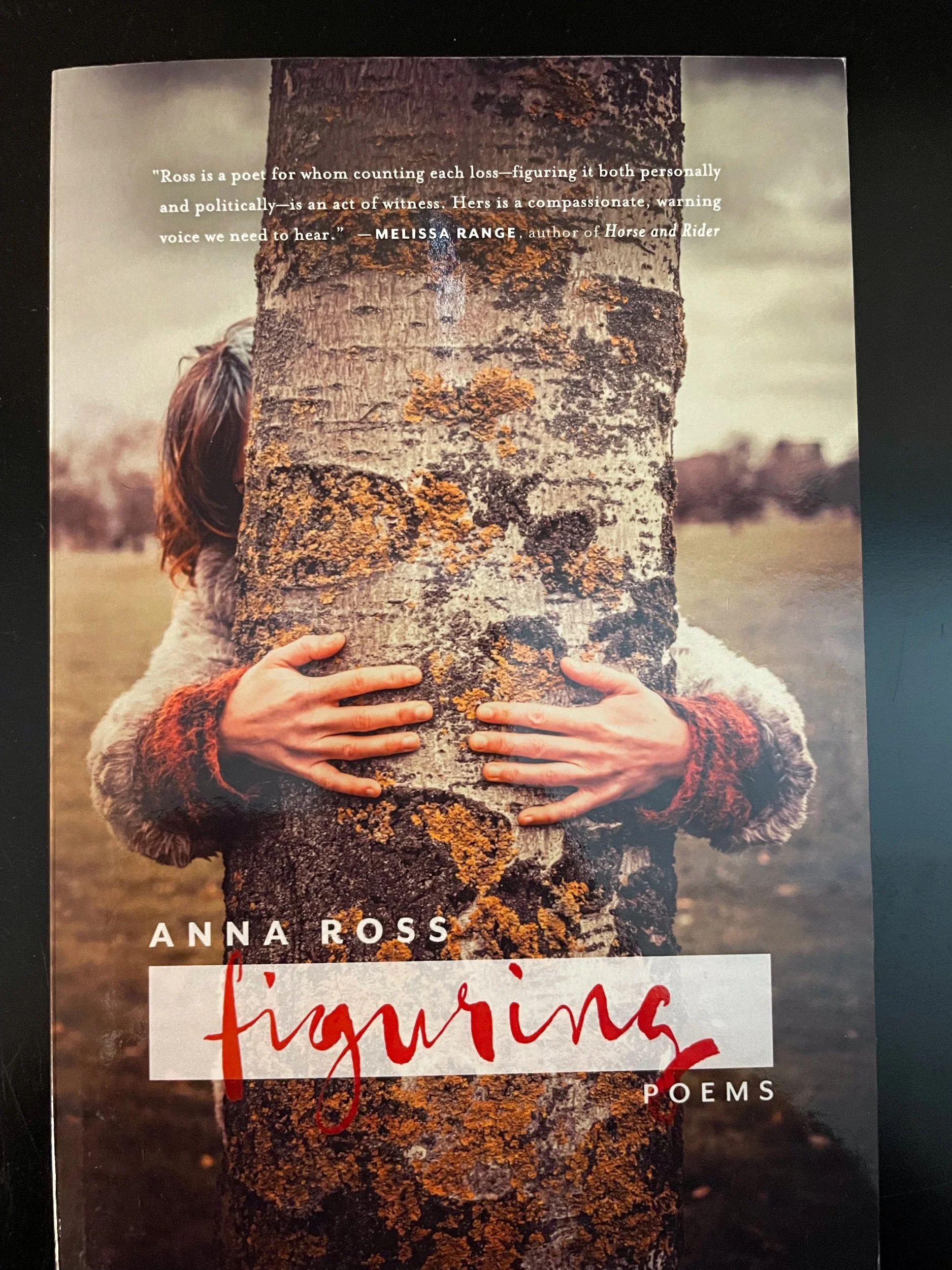 Sealey Challenge Update—with Prompts