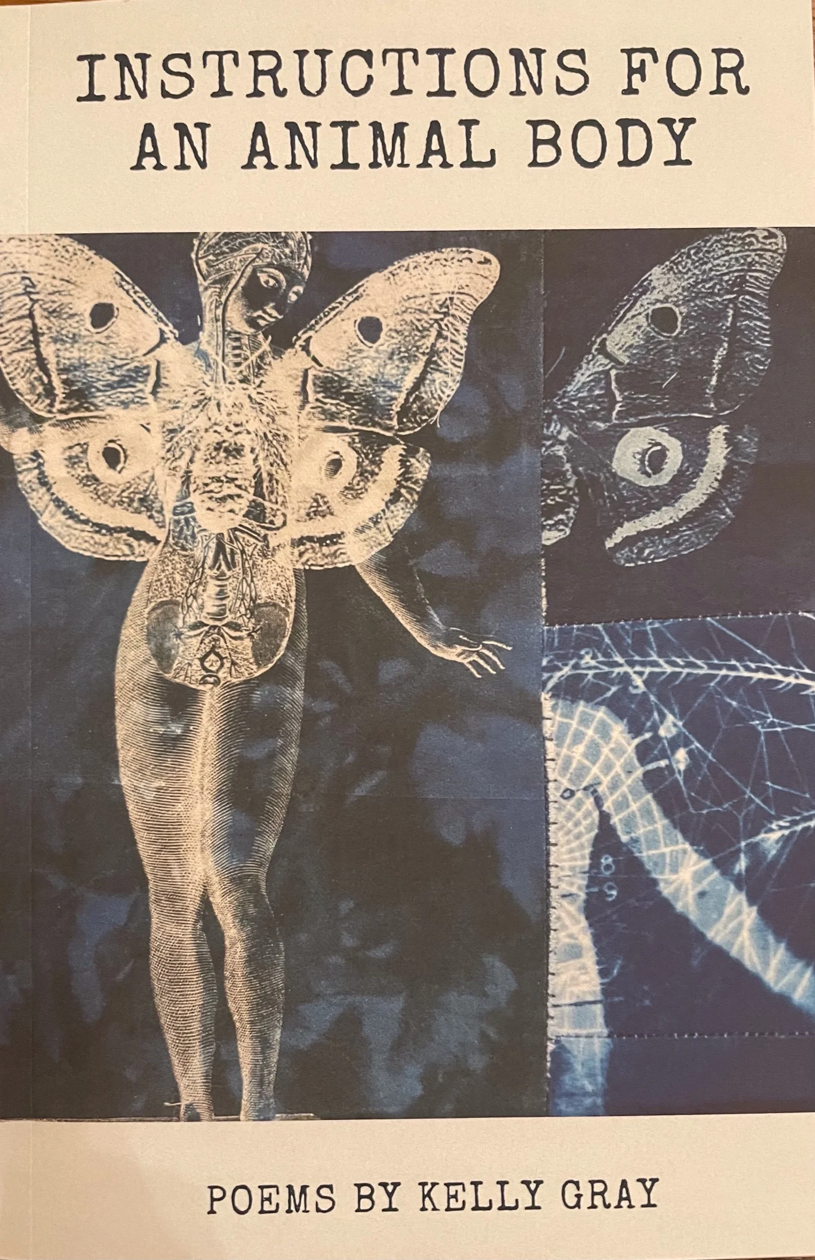 Sealey Challenge—with Prompts