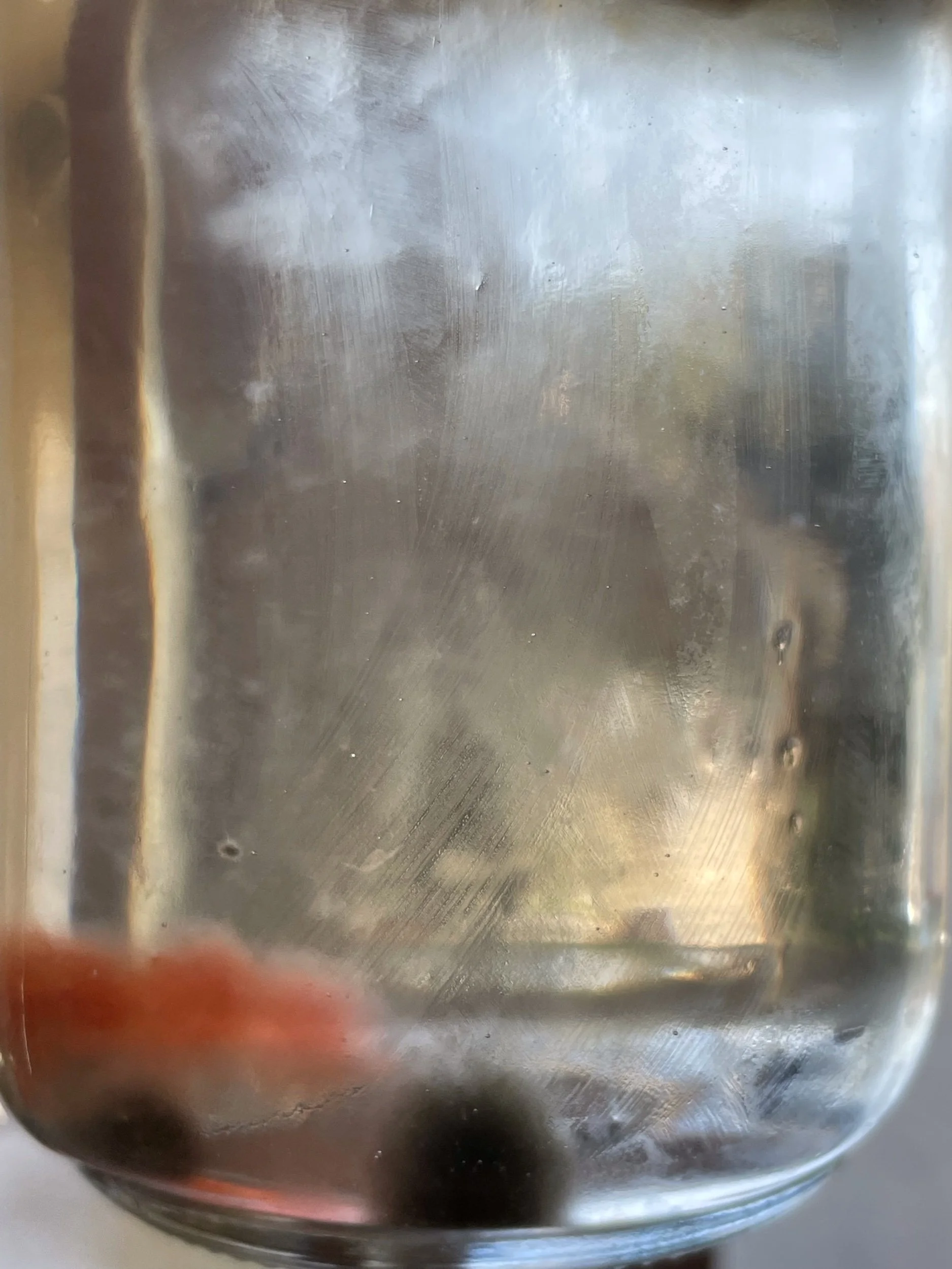 Other People’s Prompts