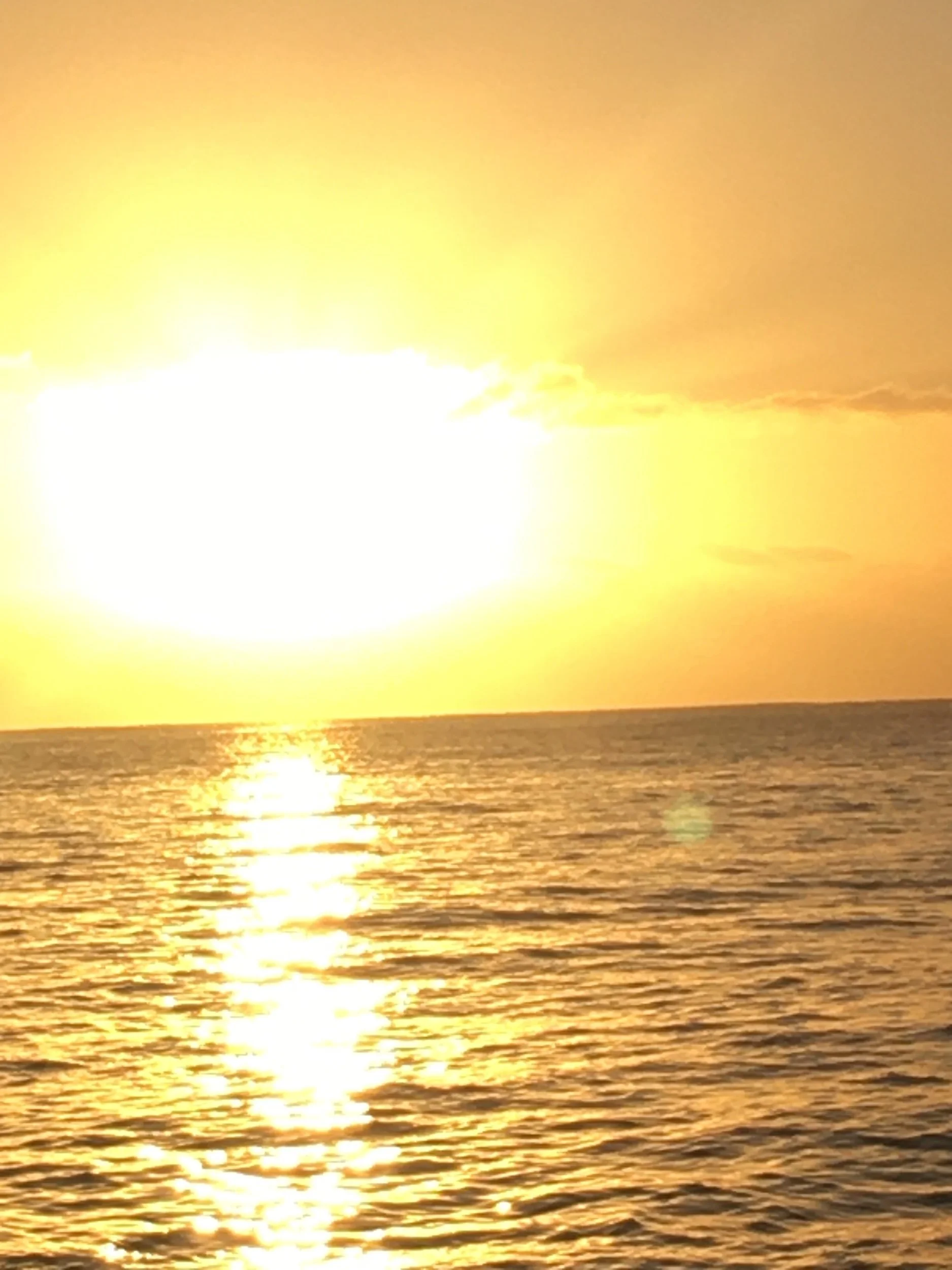 Gold Light—Prompts Inspired by Donald Justice