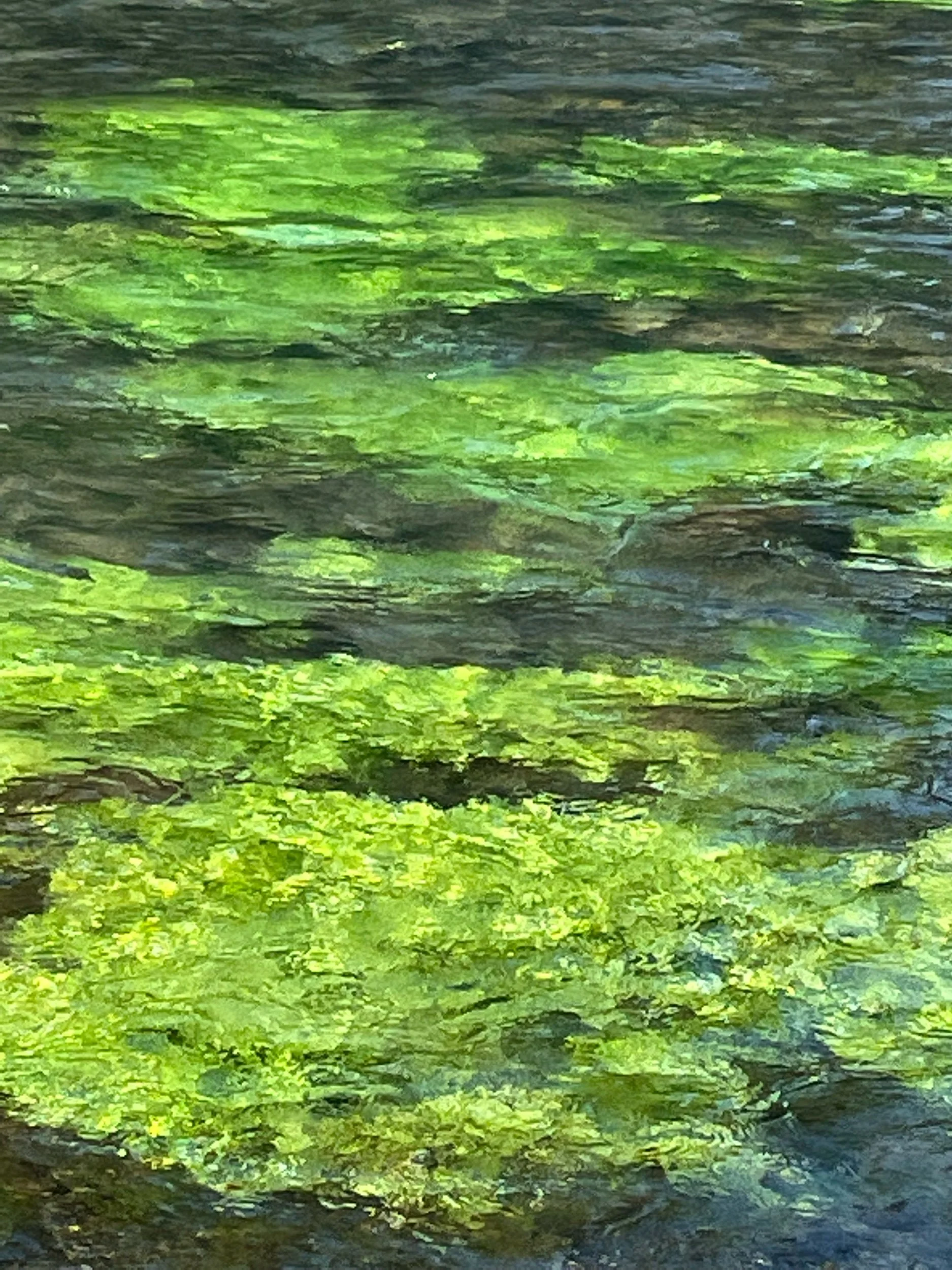 World of Poetry Reading tomorrow!