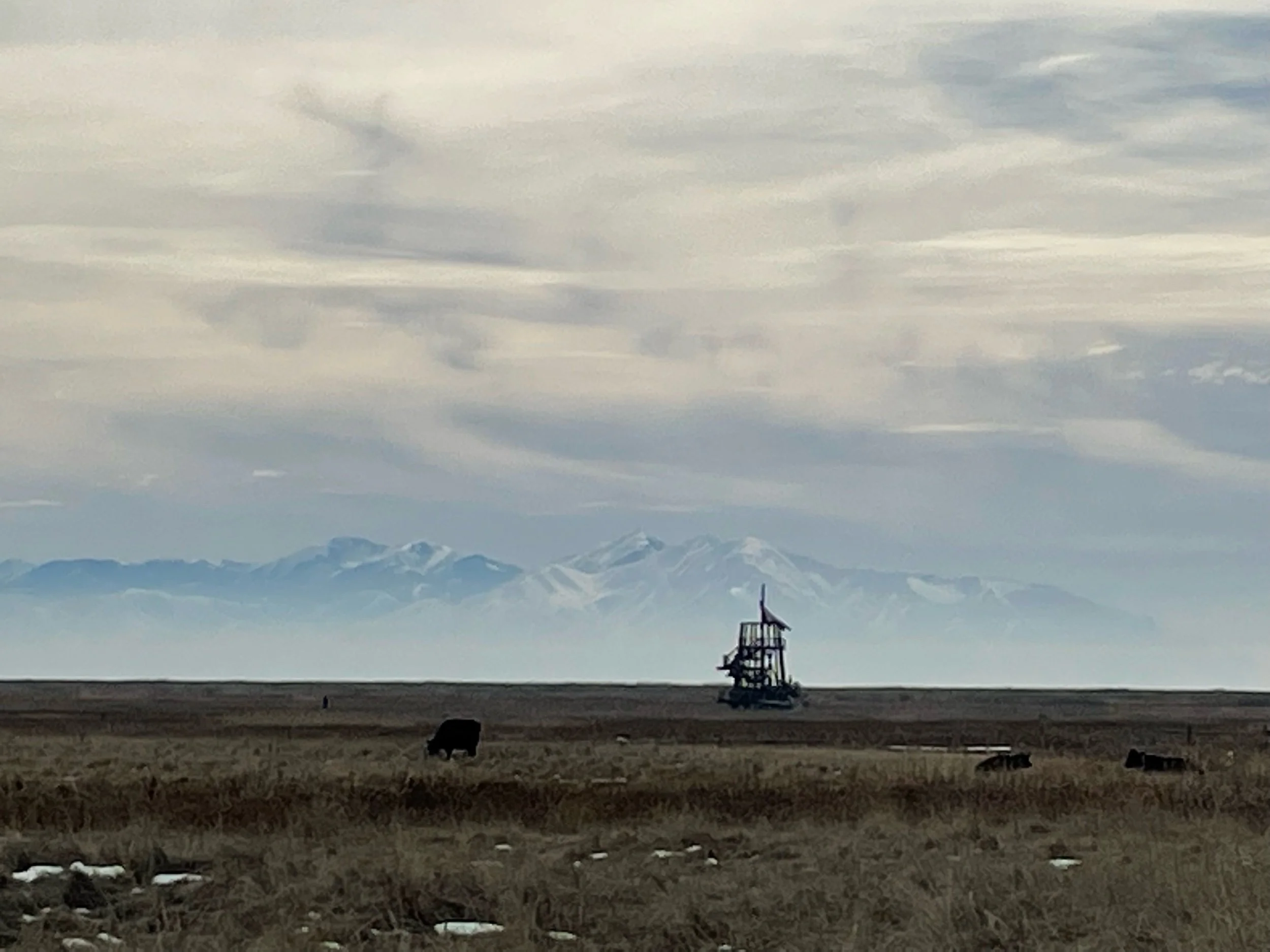 An NPC Persona—Prompts Inspired by Shane Schick