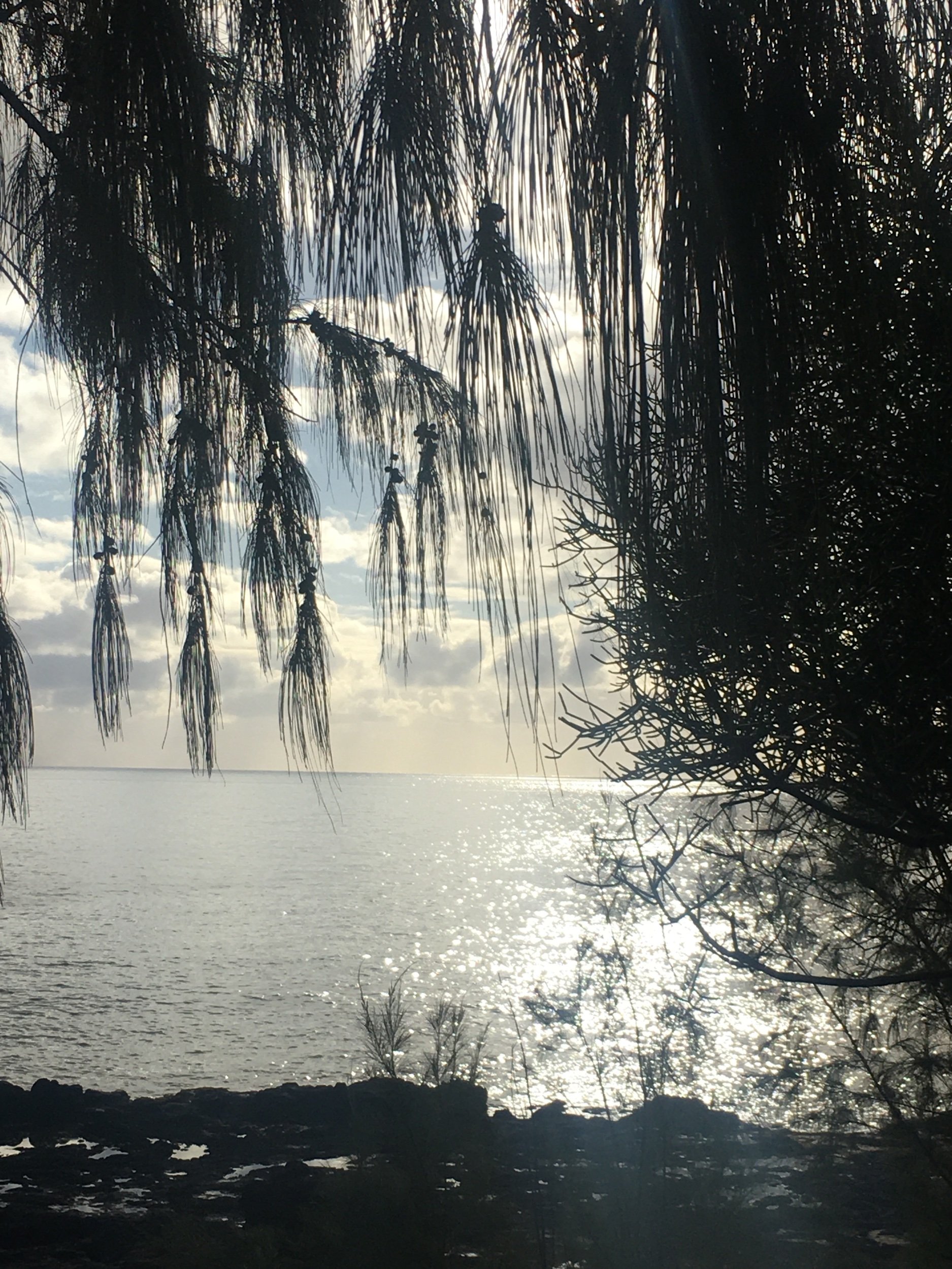 Happy World Poetry Day!