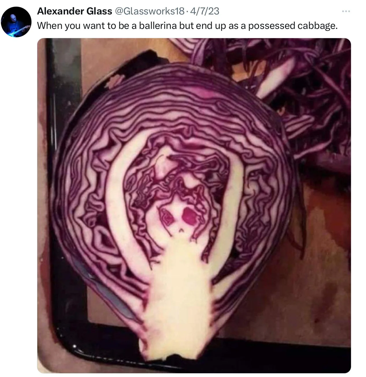 Cabbage Dreams—Twitter Prompt
