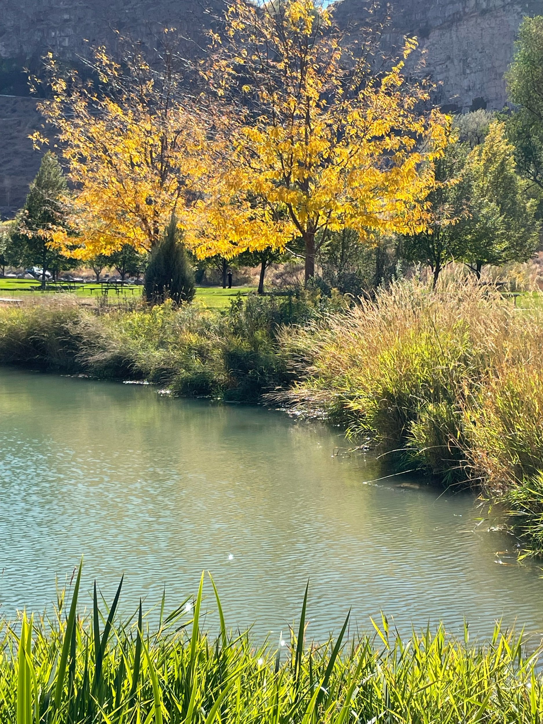 It’s My Birthday!—Prompt Inspired by Safia Elhillo