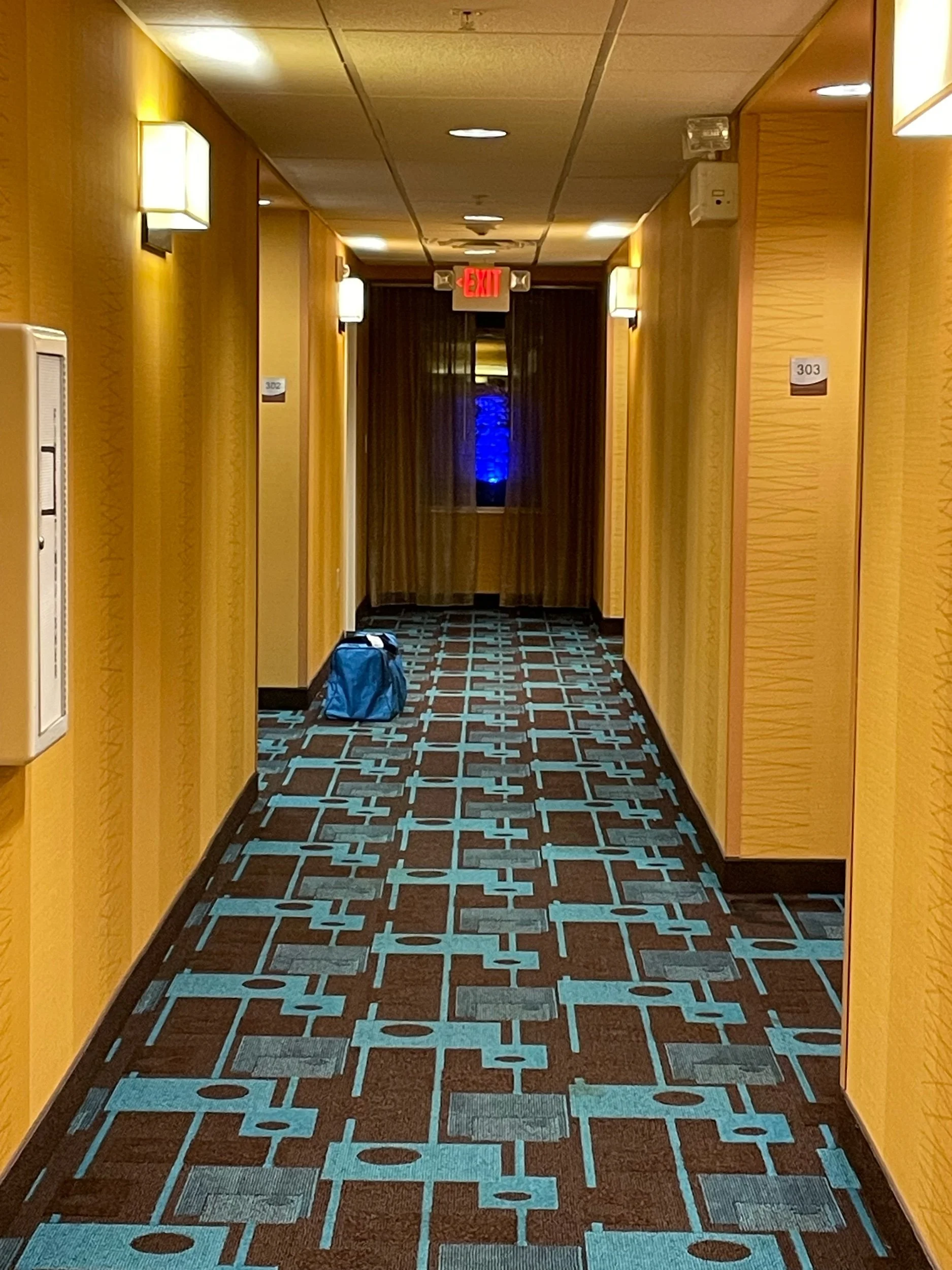 OPP—Other People’s Prompts