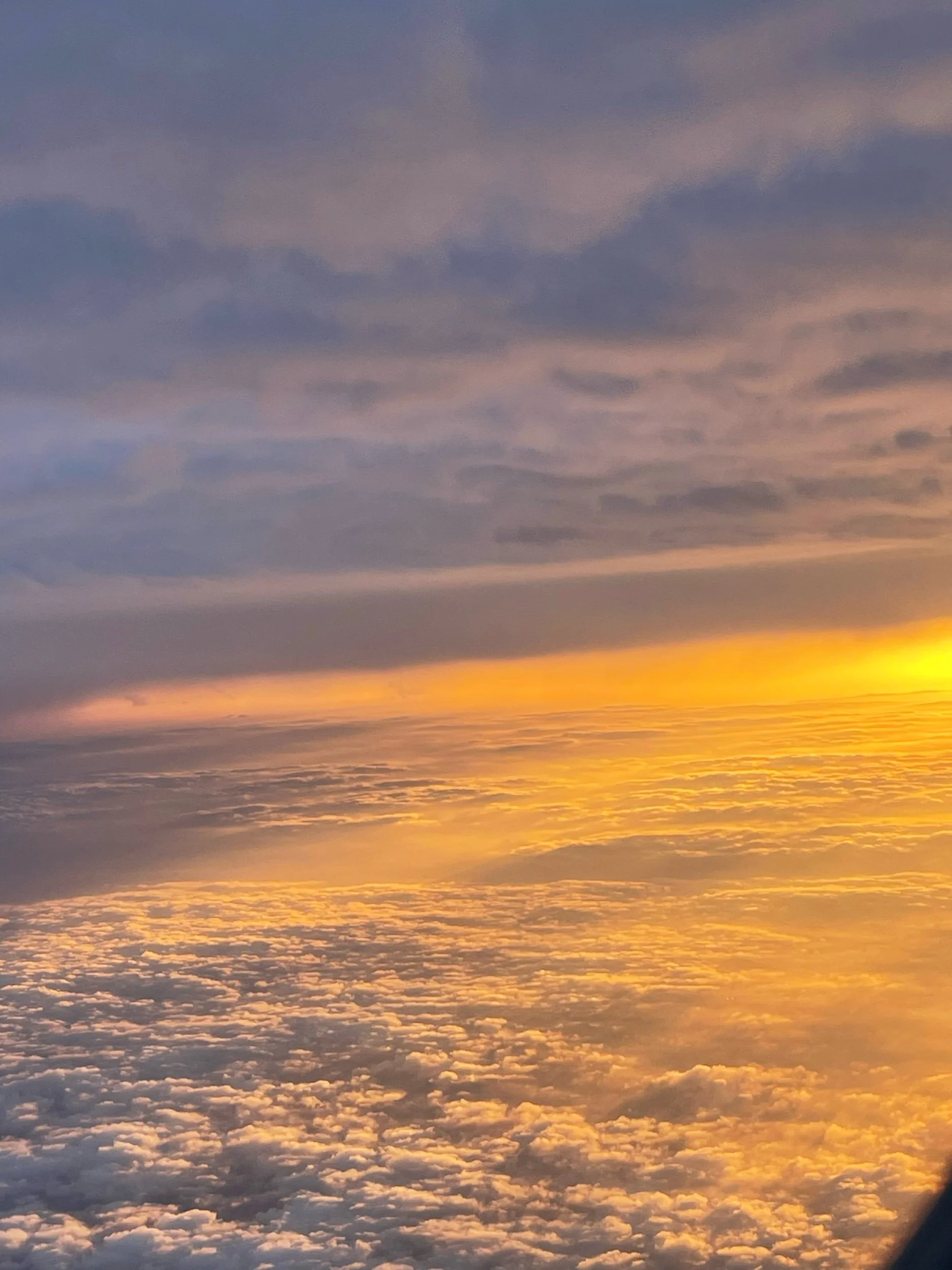 Tomorrow morning (8am Pacific) is World of Poetry reading!