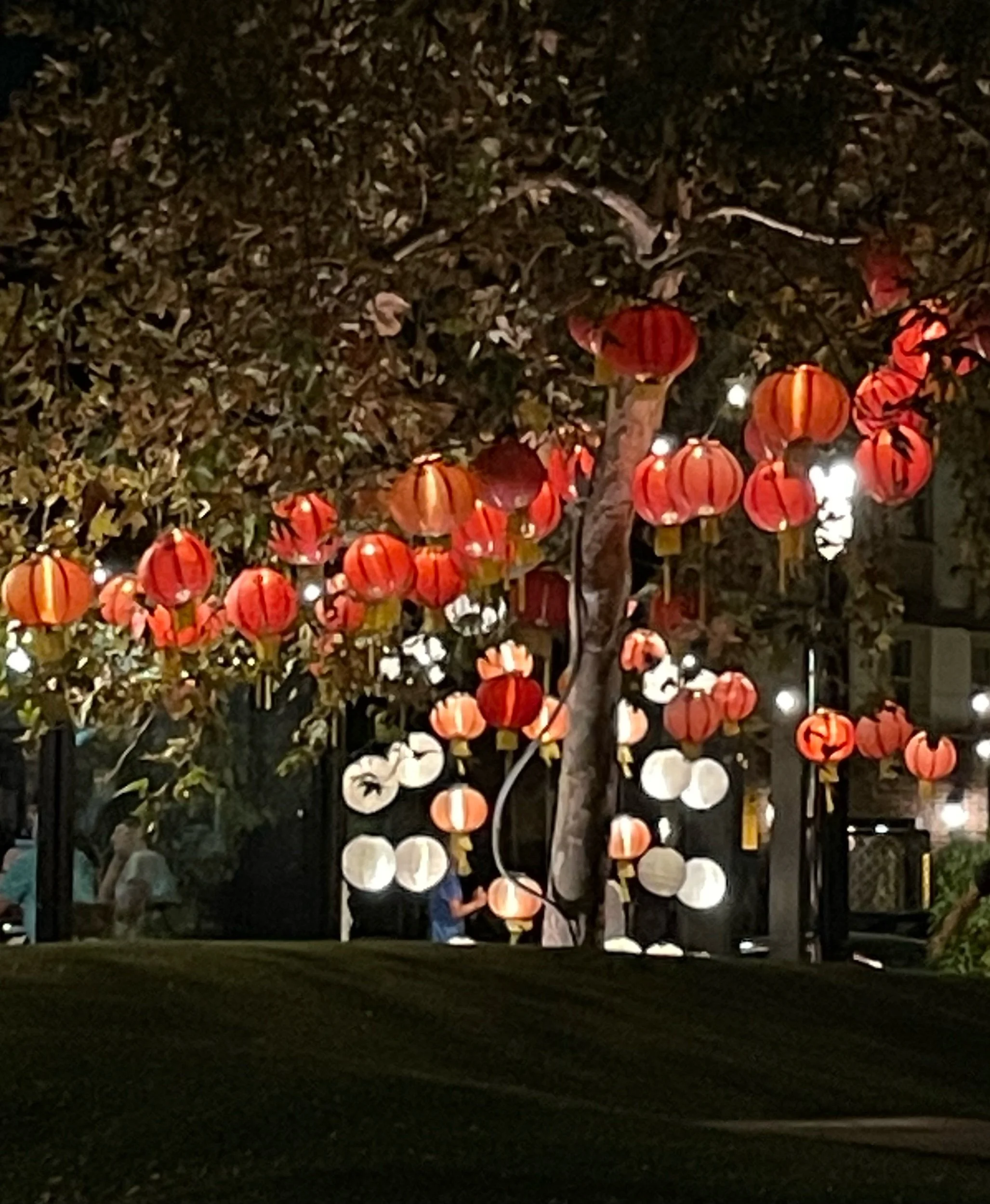 For My Mother—Prompts Inspired by Wanda Coleman