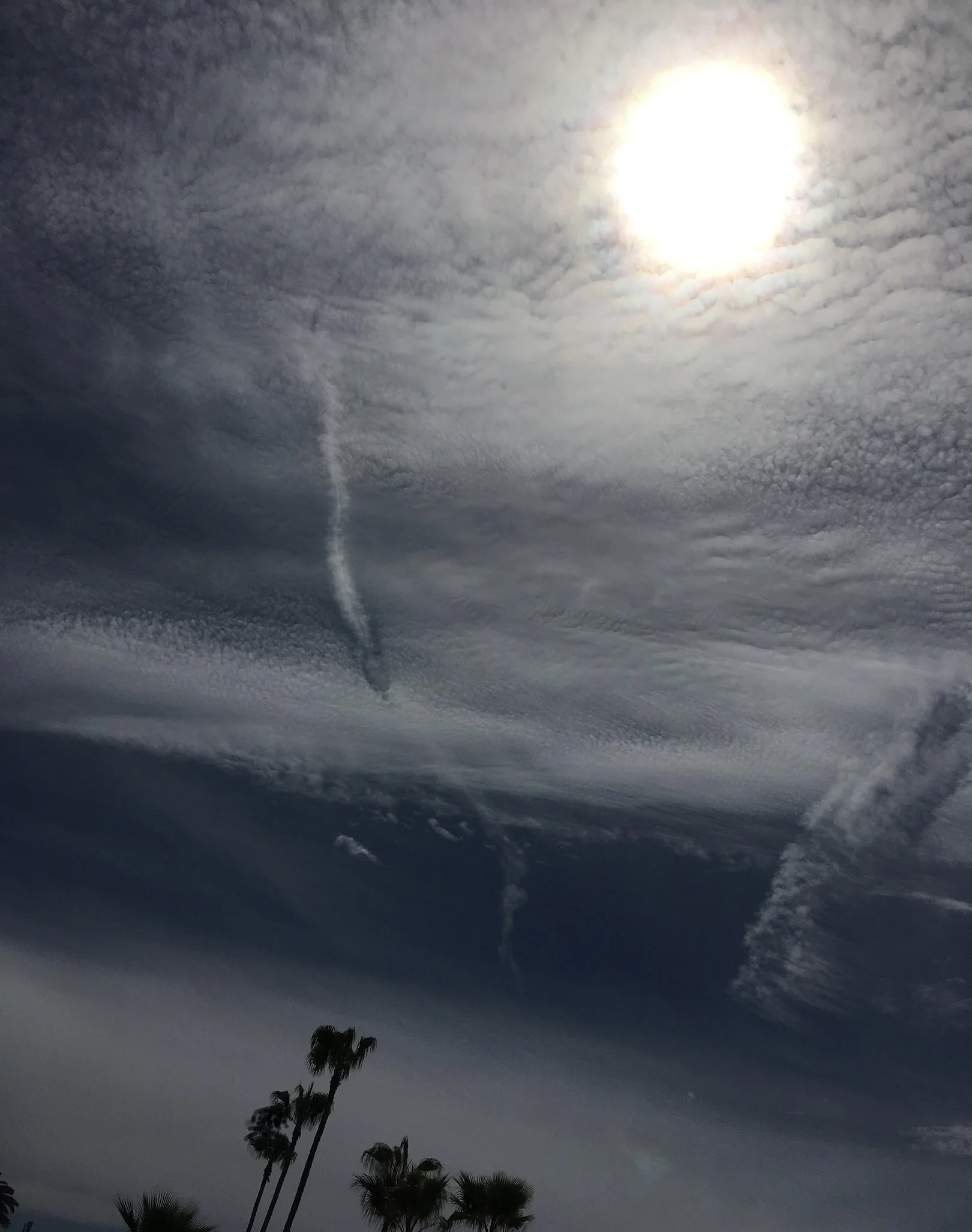 Protest and Reflections—Prompts Inspired by Mimesis