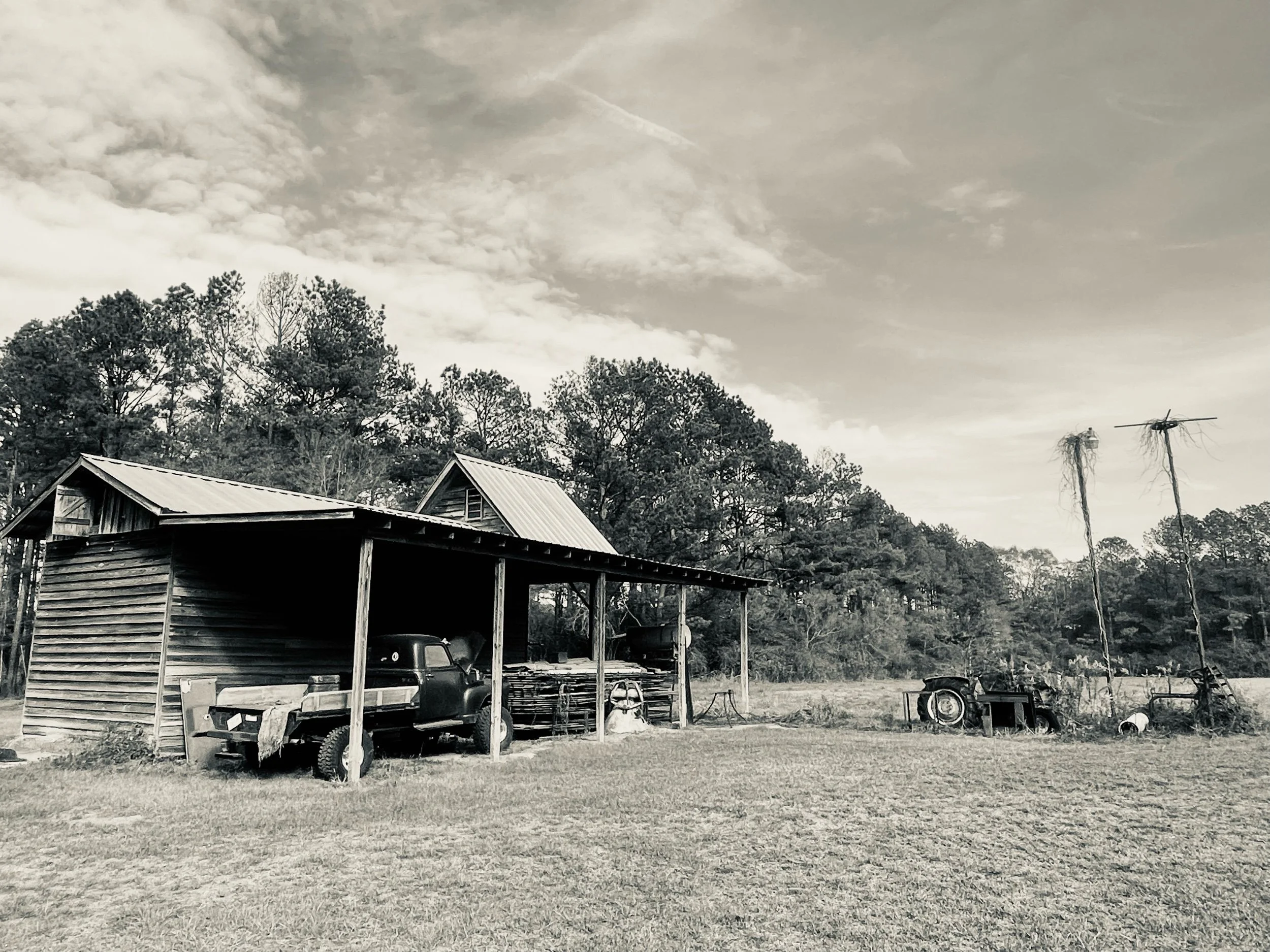 Gratitude—Prompts Inspired by W. S. Merwin