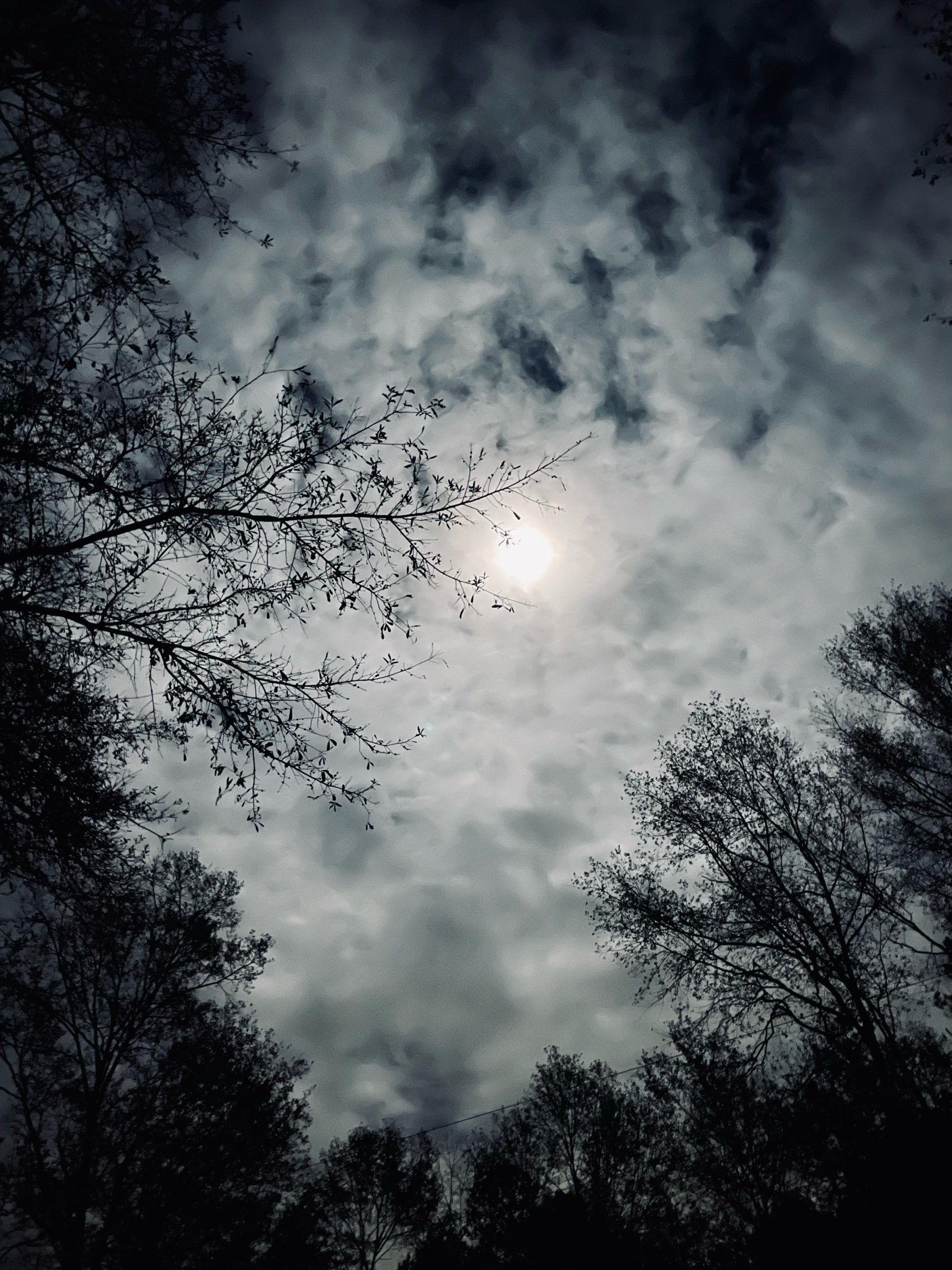 Because—Prompts Inspired by Beth Marquez