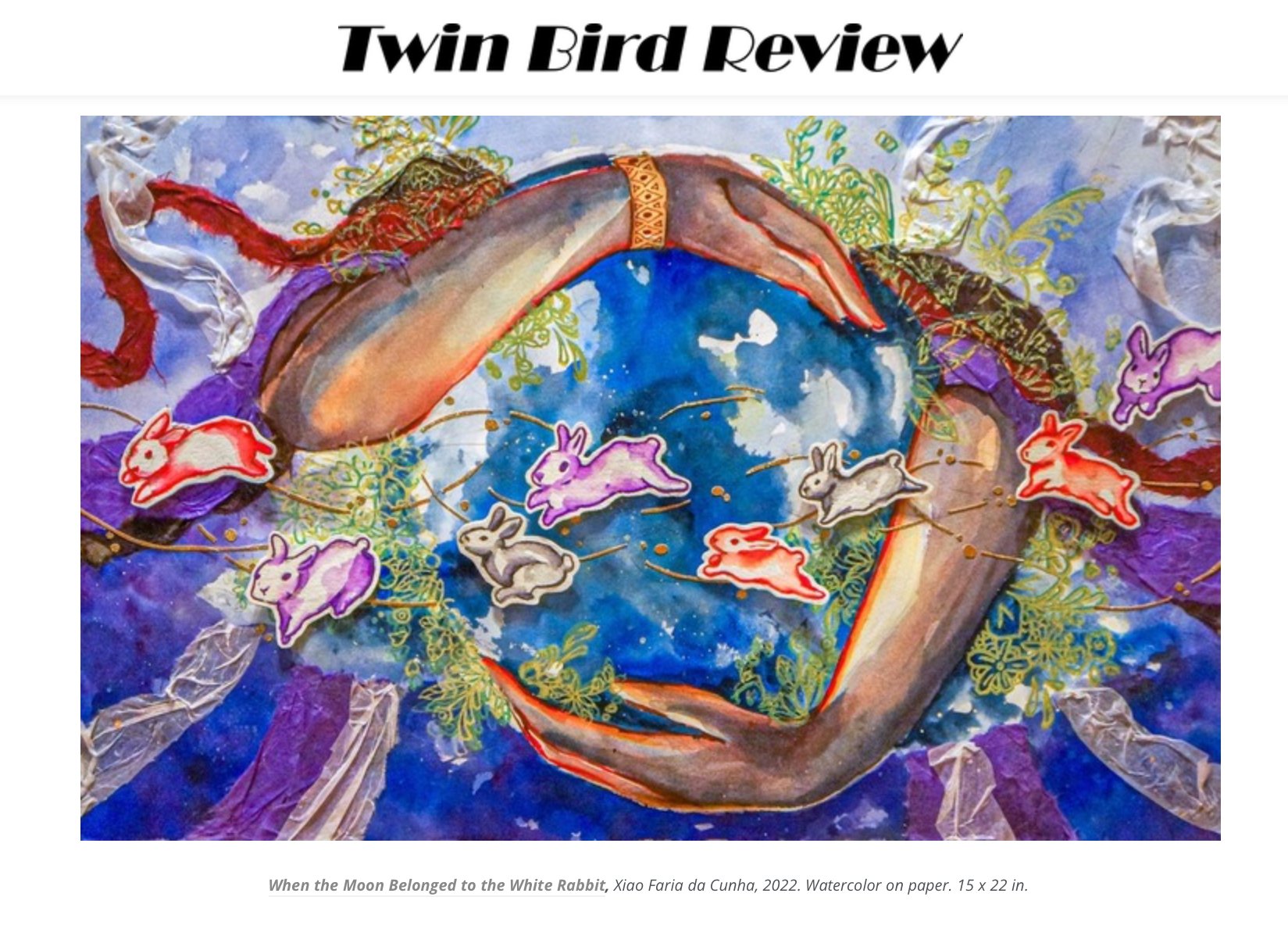 Wonderful Experience with Twin Bird Review