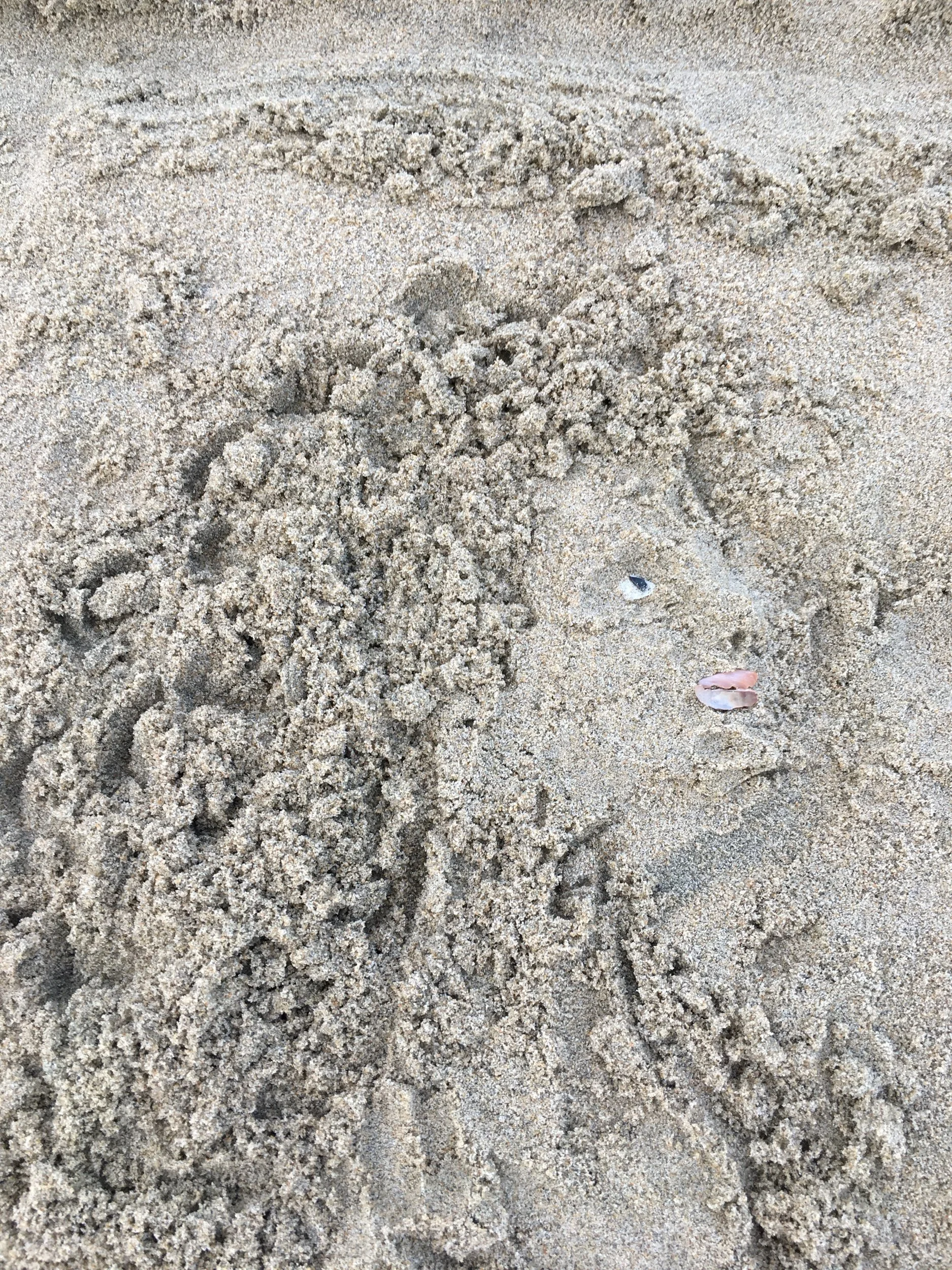 Mermaids and Monsters—Prompts Inspired by Sirianna Helleloid