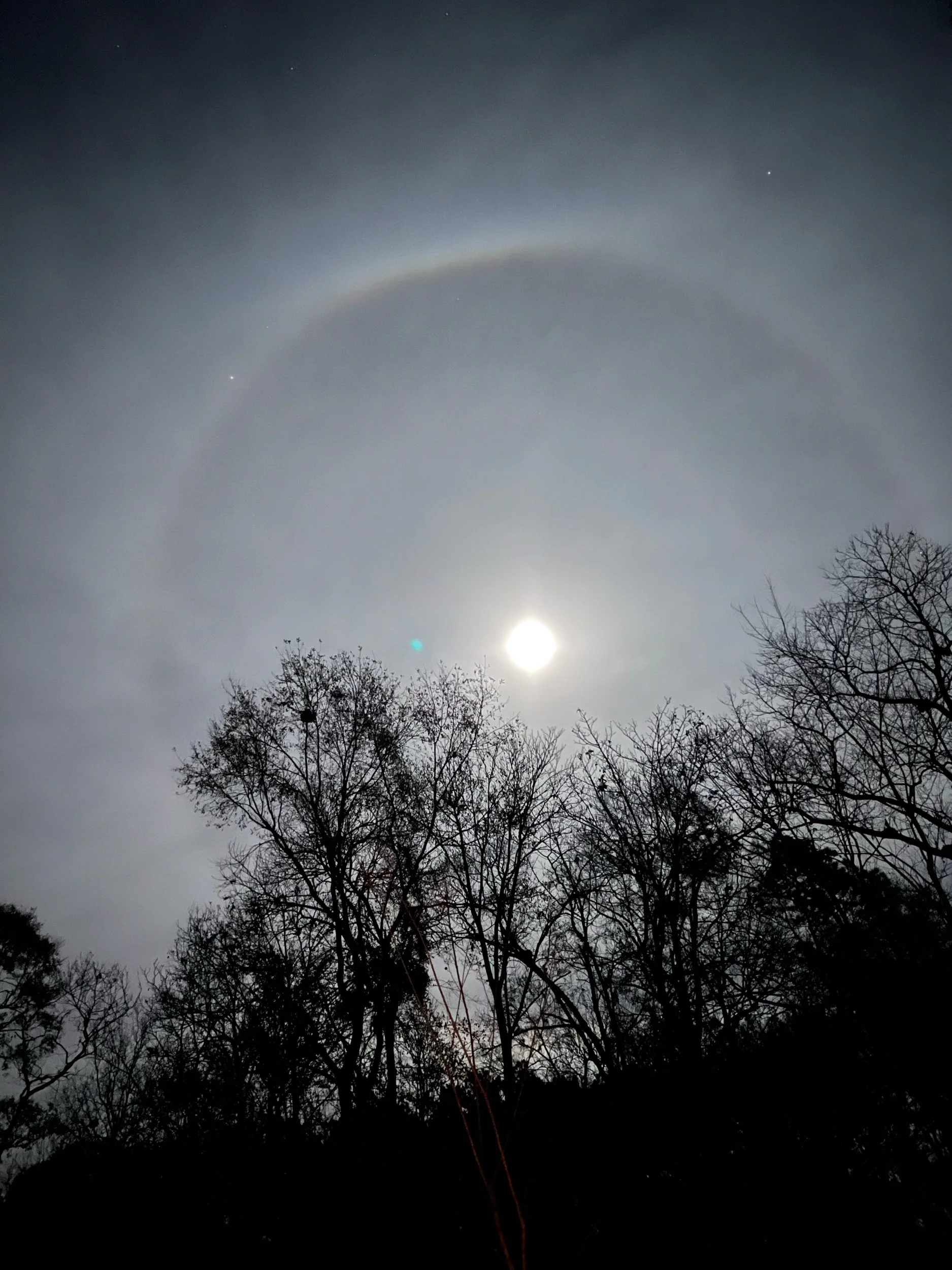 Moonlit Journeys—Prompts Inspired by Kareem Tayyar