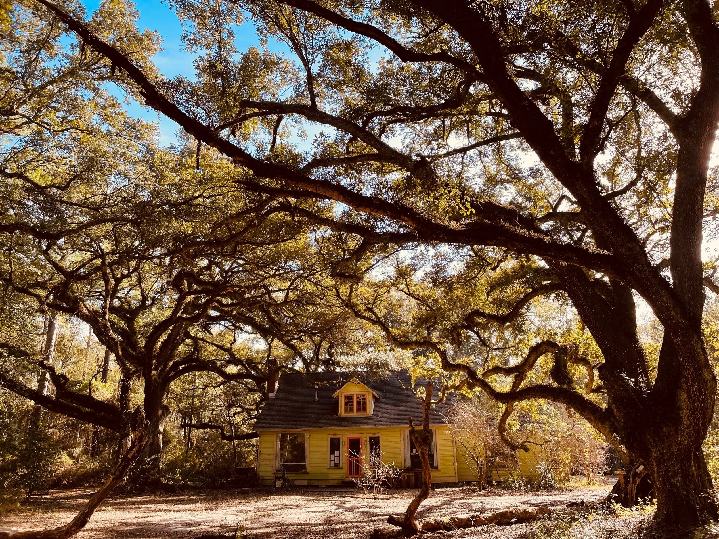 Duly Noted—Prompts Inspired by Kristina Mahr