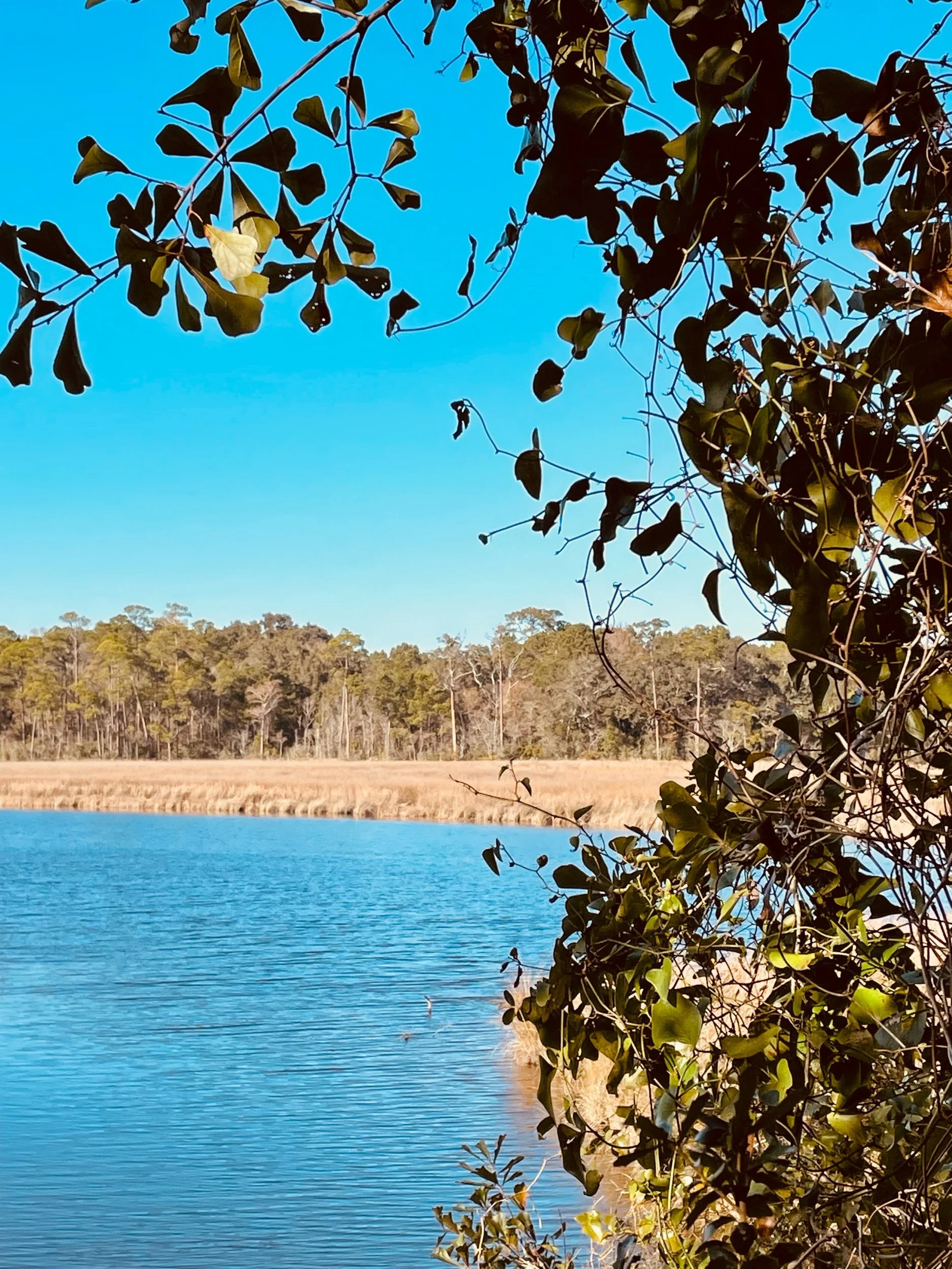 What Is a Sonnet or a Poem?—Prompts Inspired by Diane Seuss and Gatekeeping Trolls