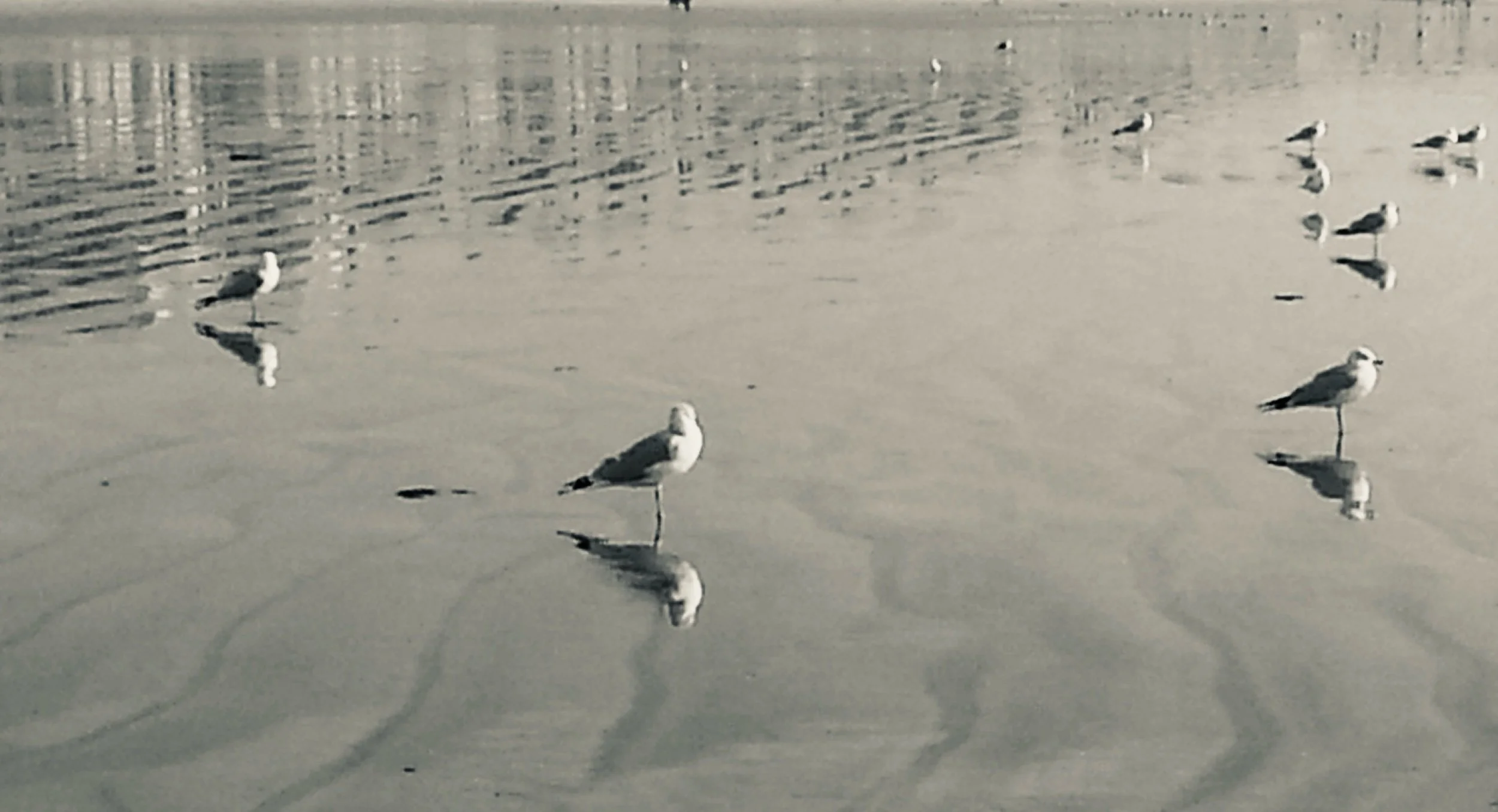 Reflecting on the Infinite: Prompts Inspired by Mary Ruefle