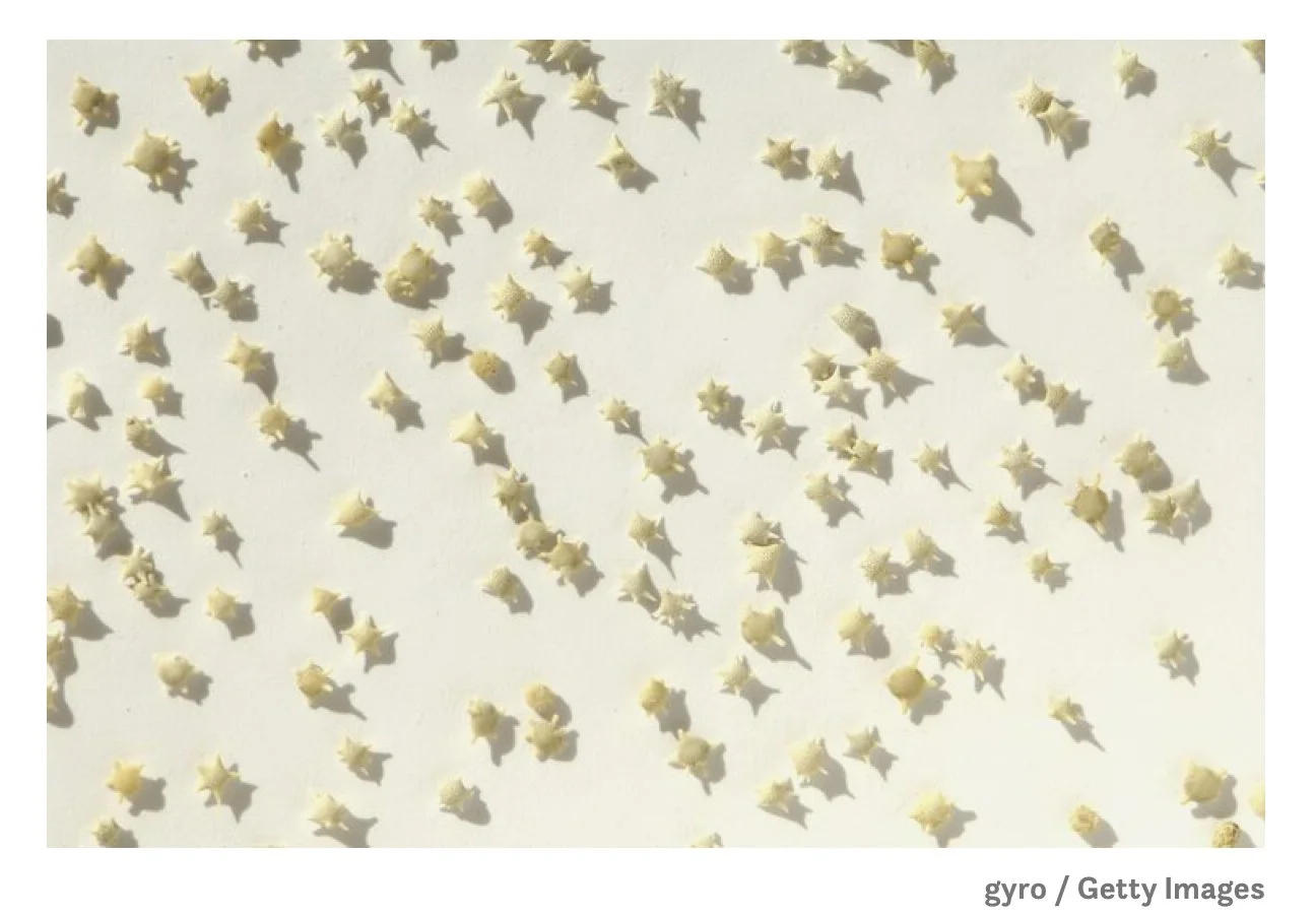 The Stars under our Feet—Prompt from Rob Sturma (and Hillary Monaghan)