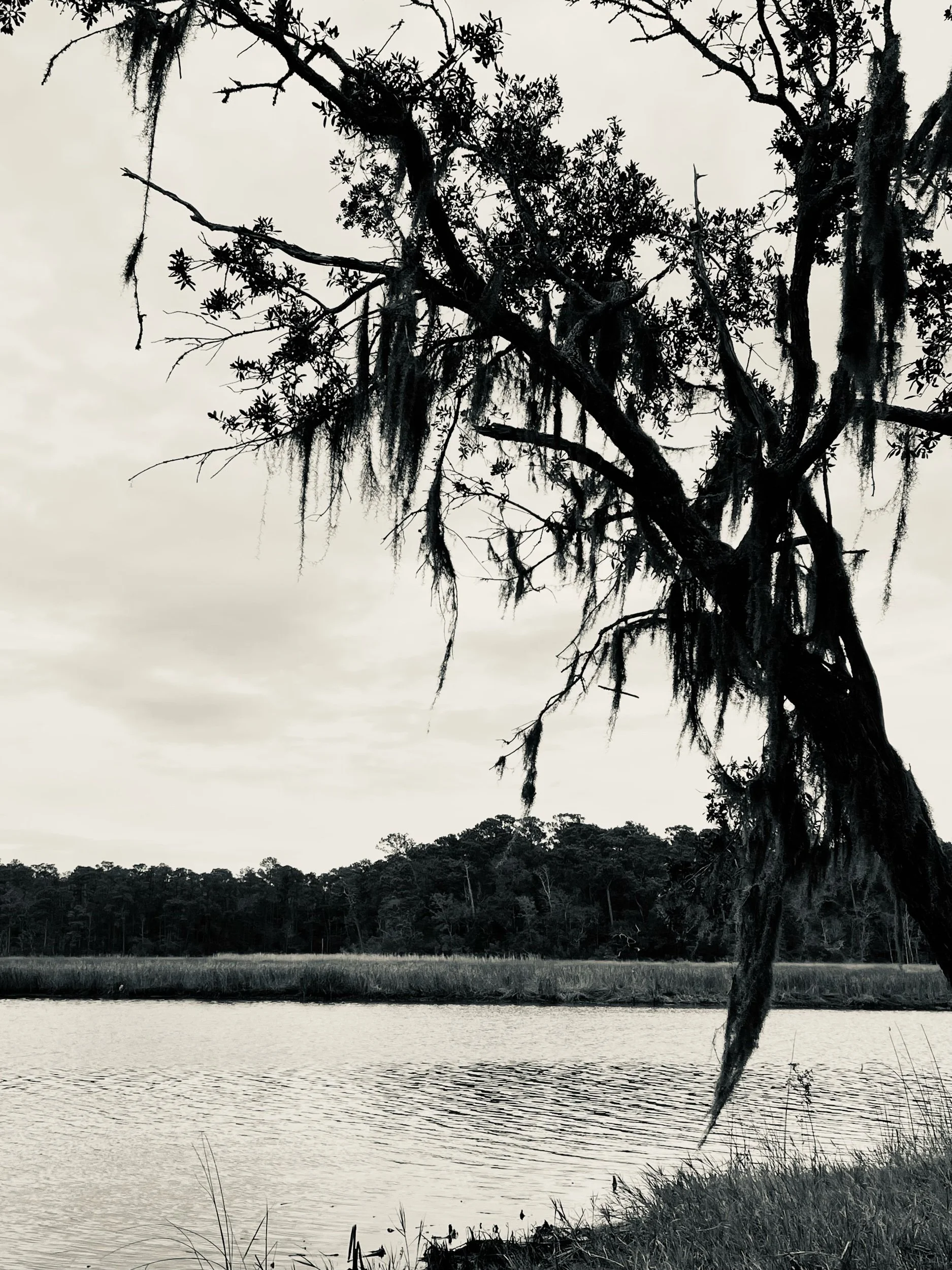 Death in the City—Prompt by Todd Dillard