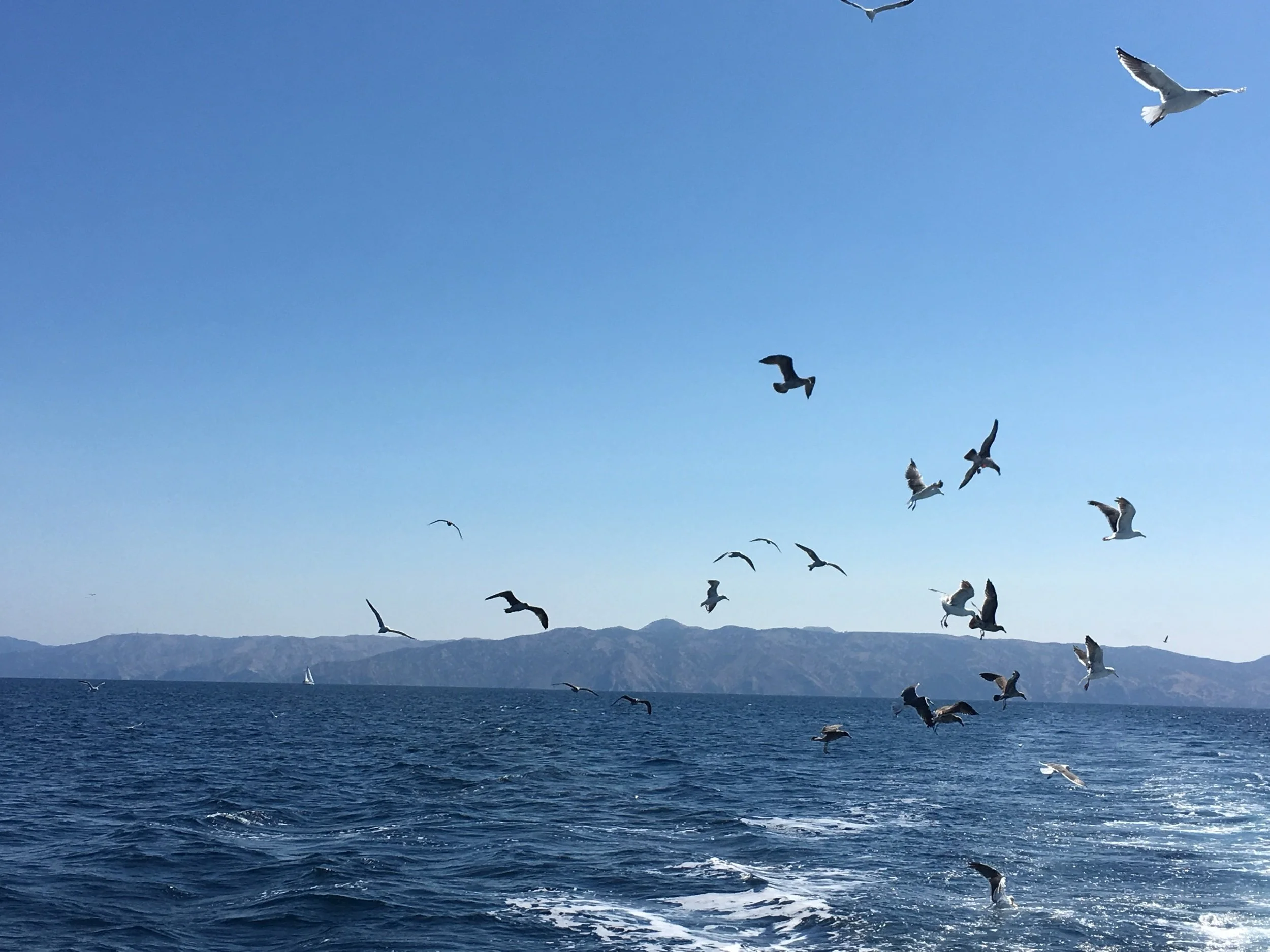 Earth Day—Prompt and Poem from Jared Beloff