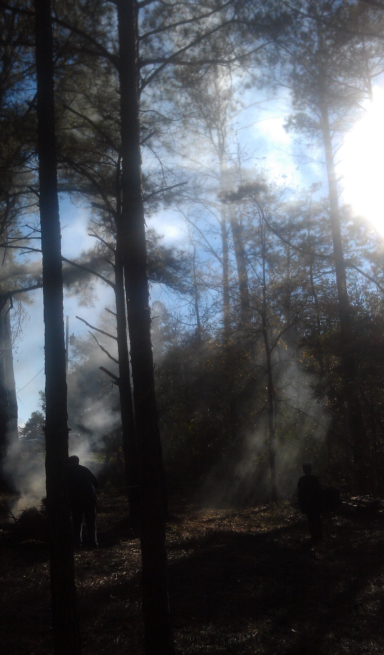 Great Pantoums for Bad Times—Prompts 