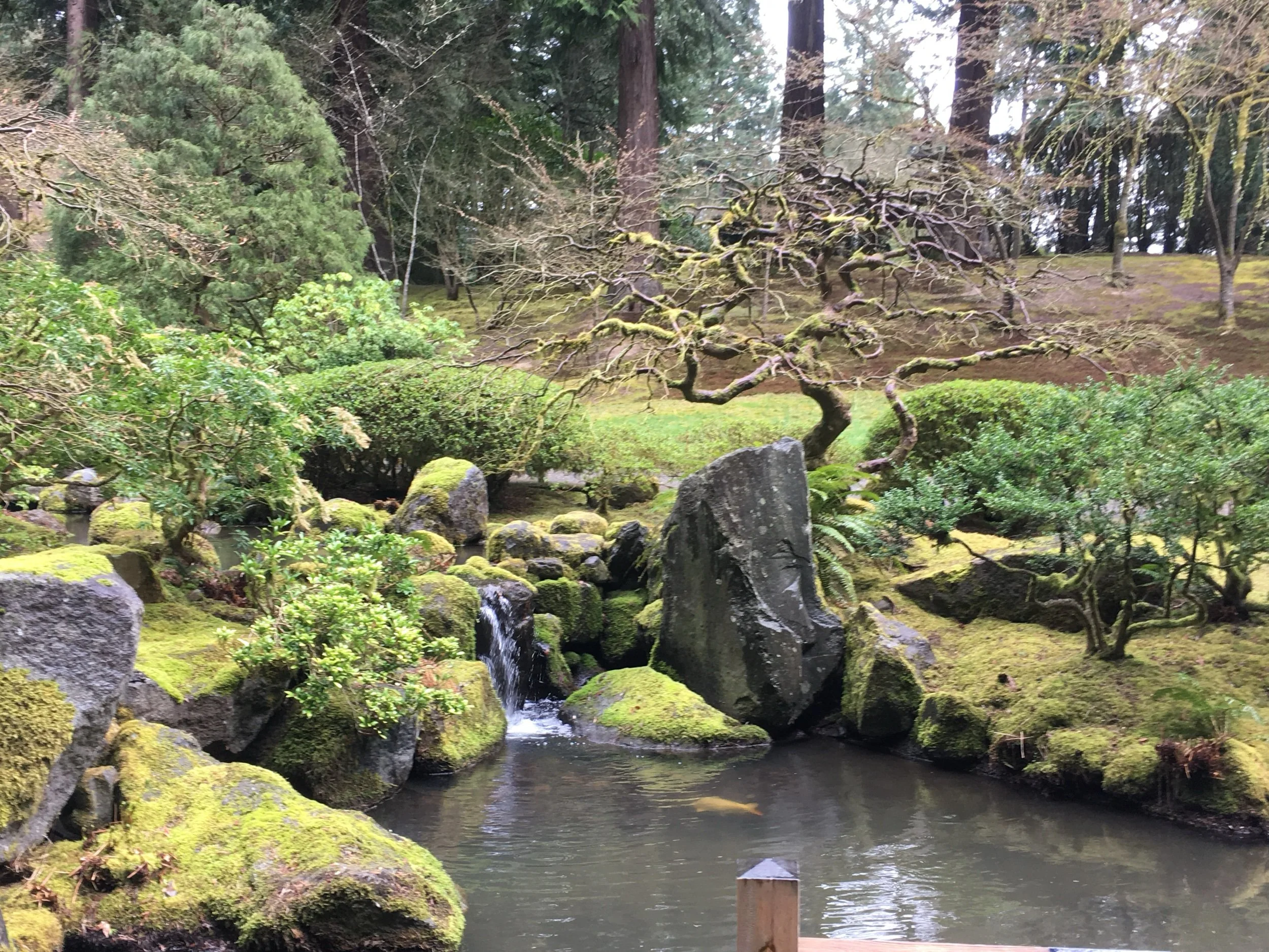 The Tender of Others—Prompts Inspired by Carla Sofia Ferreira