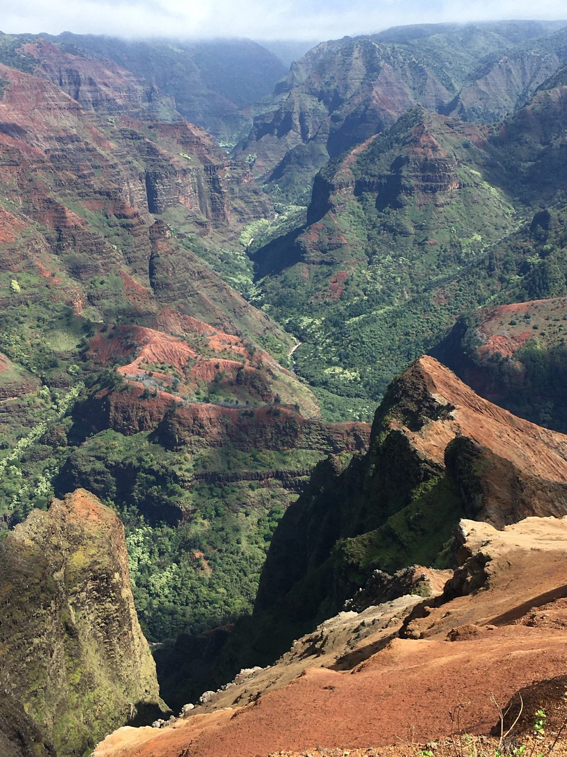 “We Used Our Words”—Prompts Inspired by Franny Choi