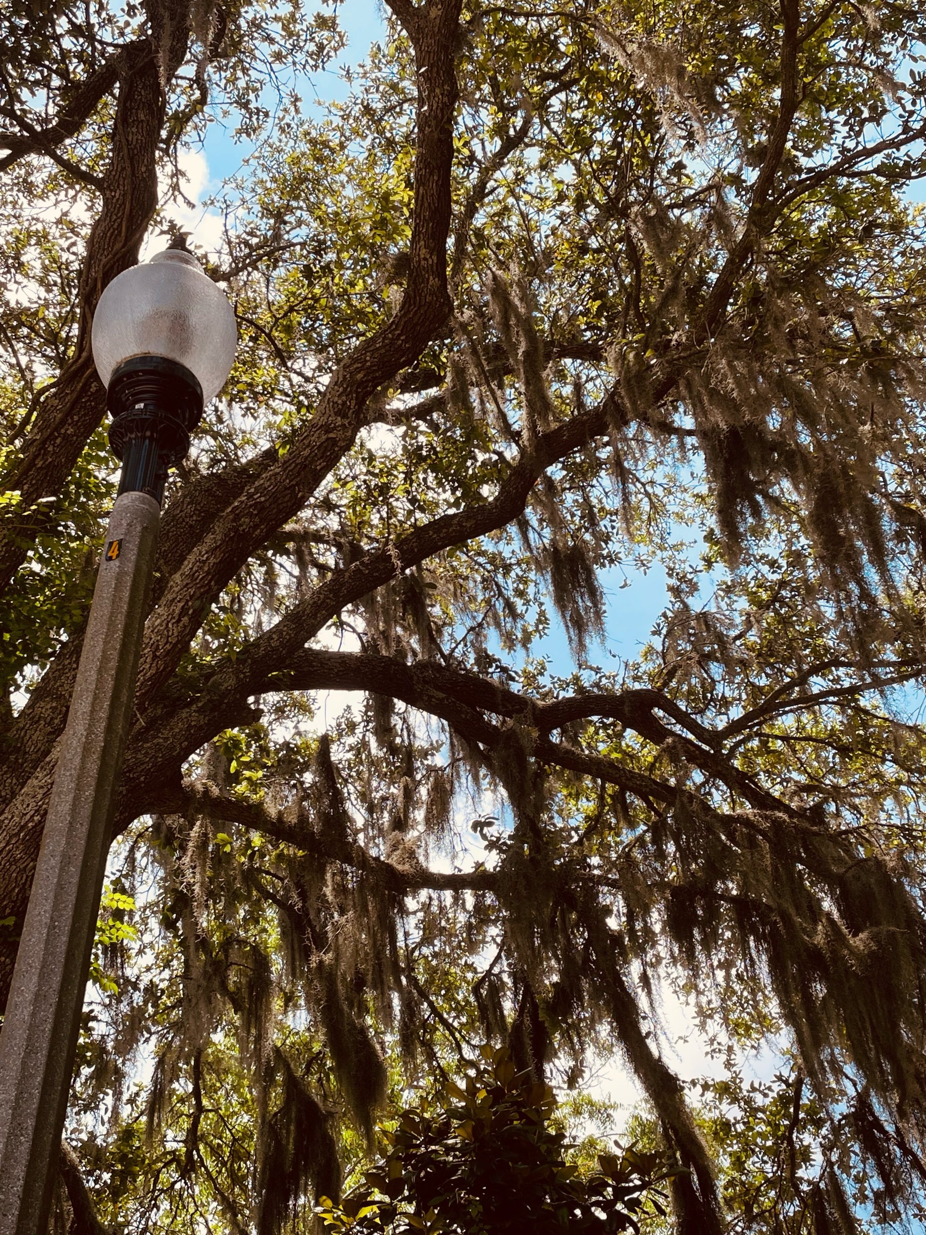 Plant Your Own Metaphors—Prompt by Perugia Press