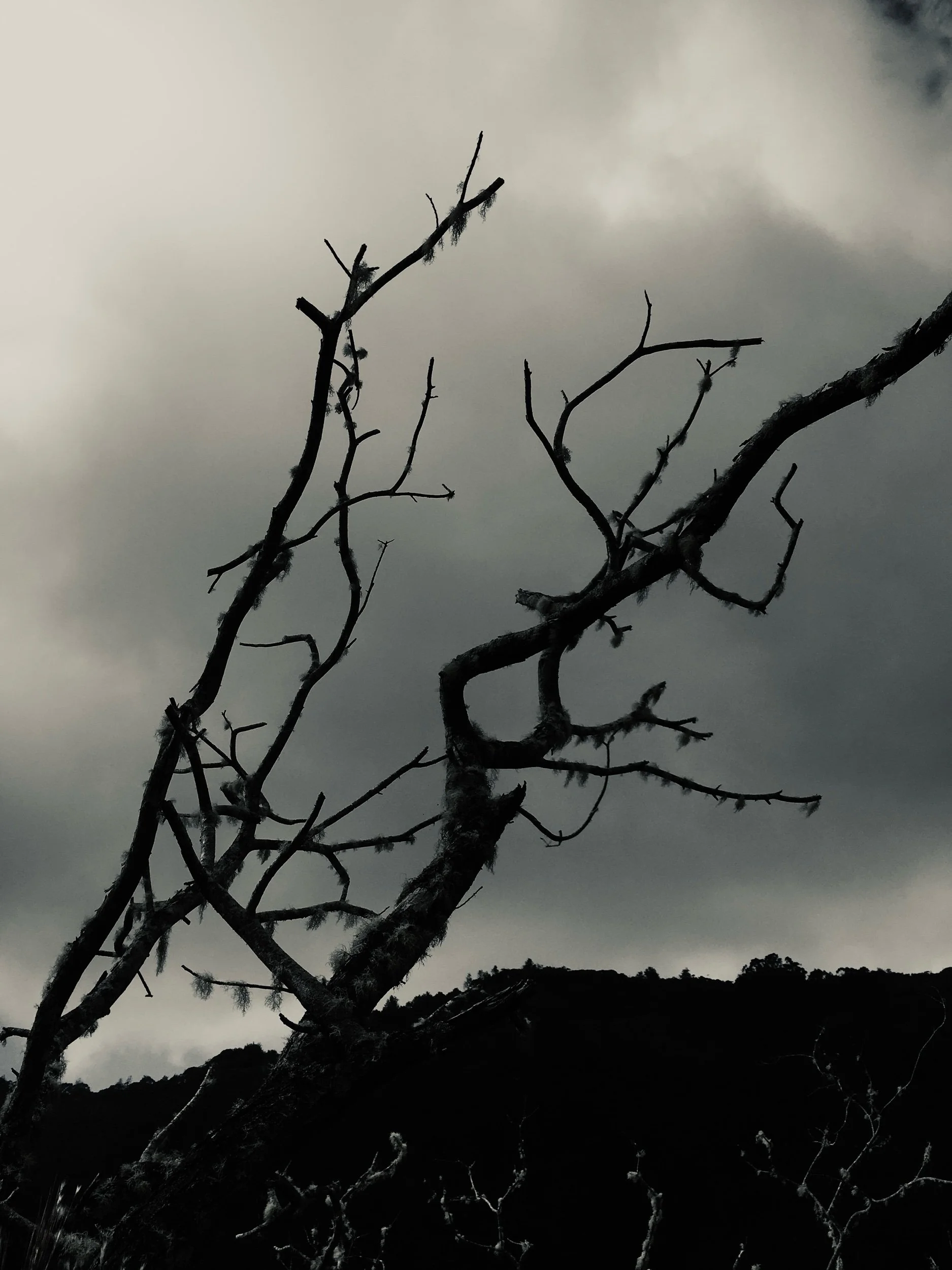 For “the hollow mouth at evening’s edge”—Prompts Inspired by Luther Hughes 