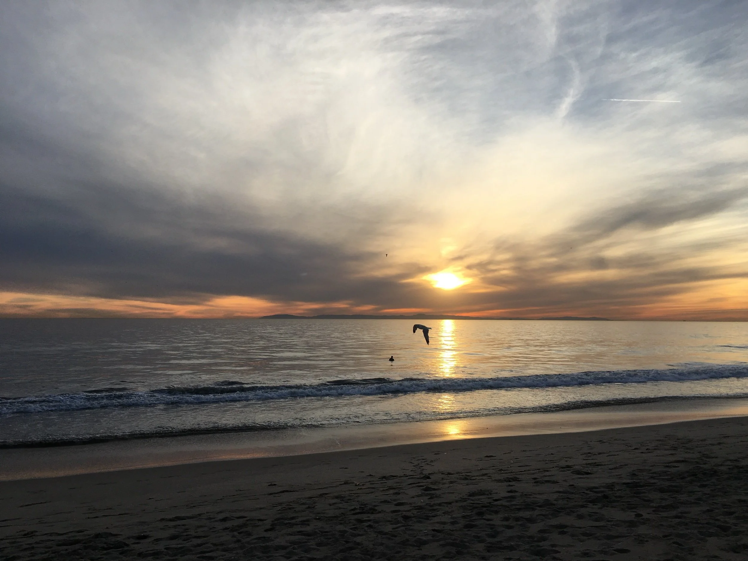 For “when the plot calls”—Prompts Inspired by Lisel Mueller 