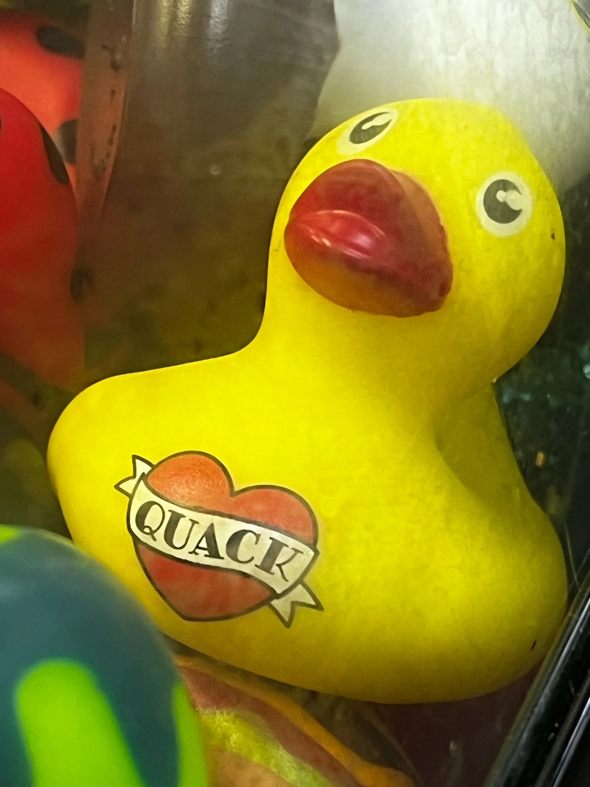 “leftover duck”—Prompts Inspired by Tom Snarsky and John Ashbery