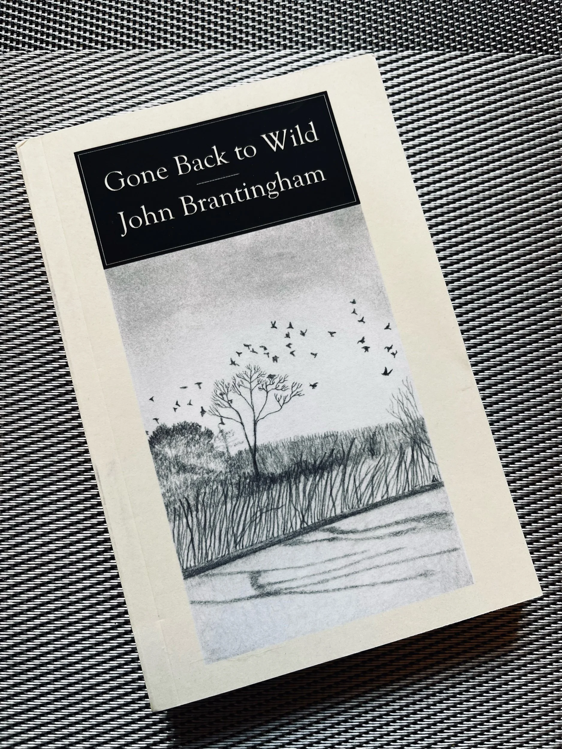 It’s August! Sealey Challenge! 