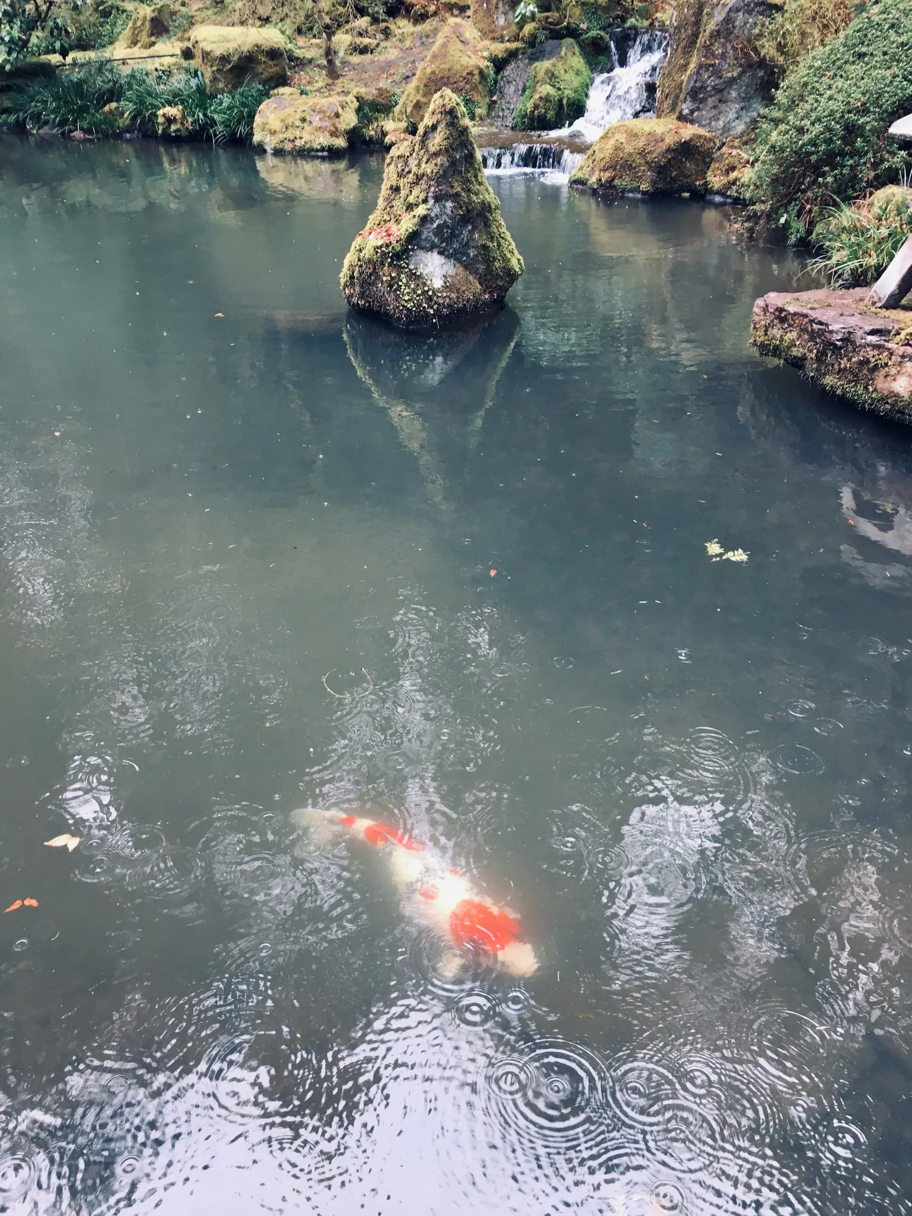 Rain and Recommendation—Prompts Inspired by Ilya Kaminsky