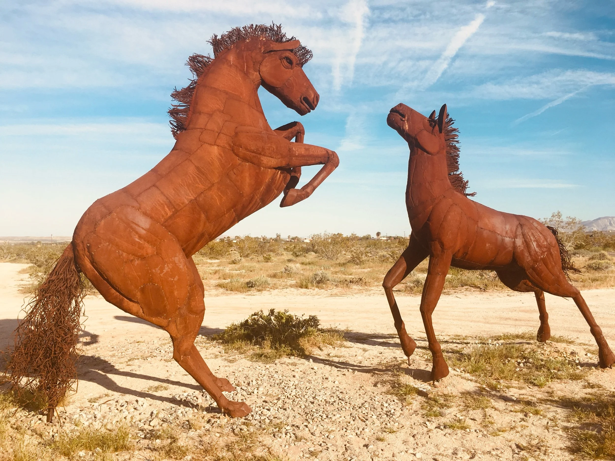 Open Fields—Prompts Inspired by Ross Gay